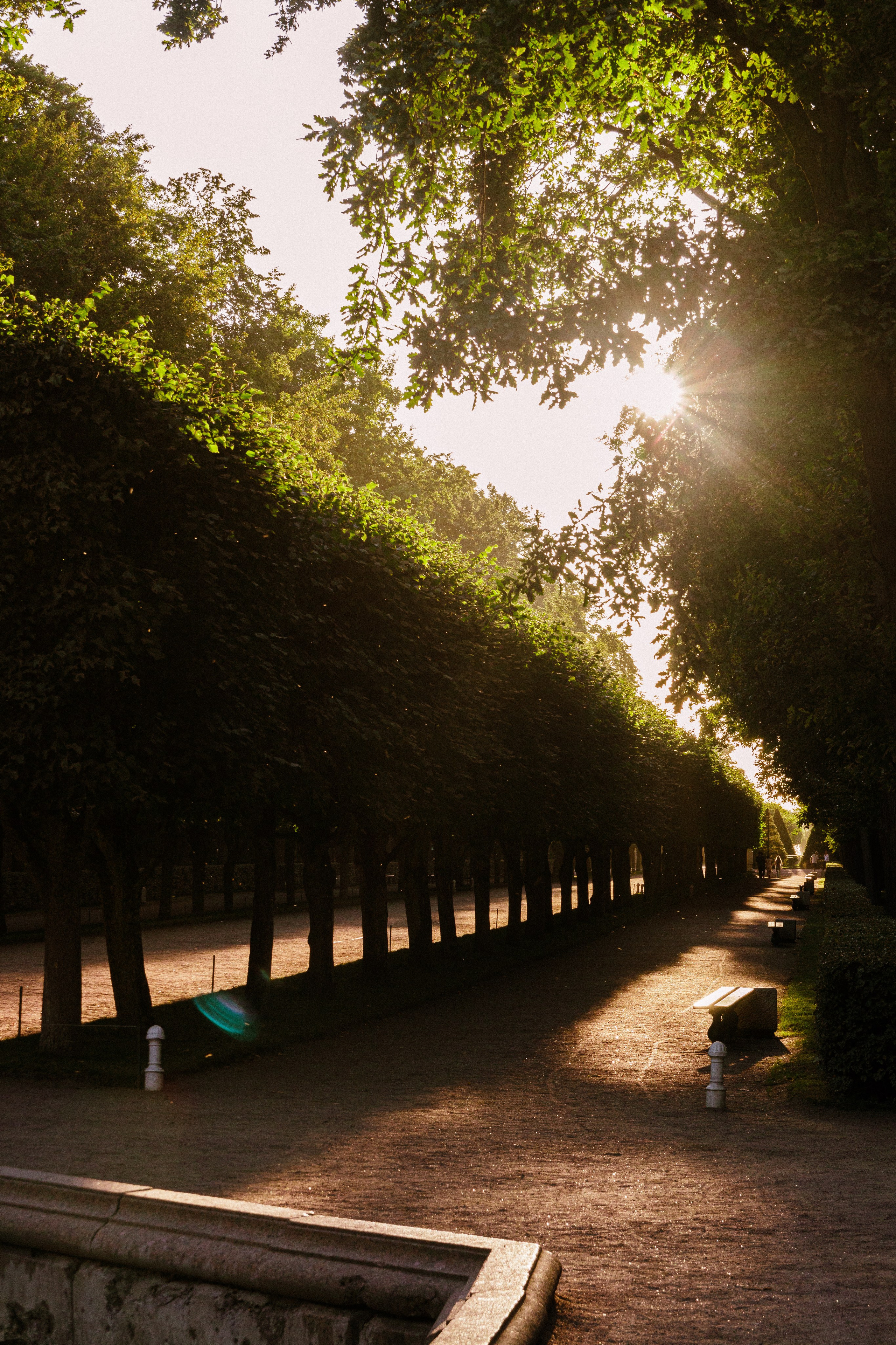 Стрит фотография. Дмитрий Рябов — фотограф
