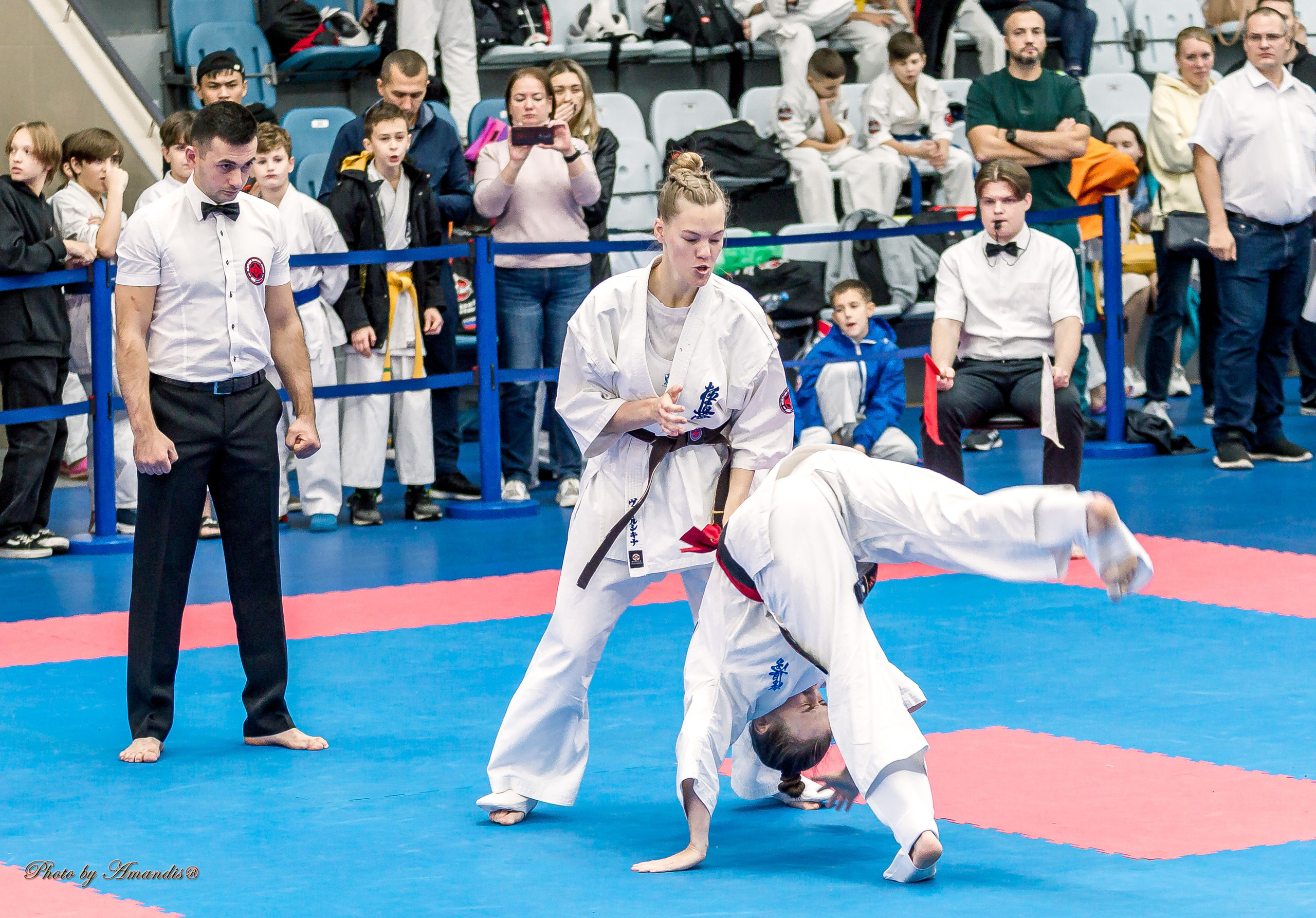 Чемпионат по Киокушинкай Центрального Федерального округа. Репортажная съемка в Москве и области. Анималистика