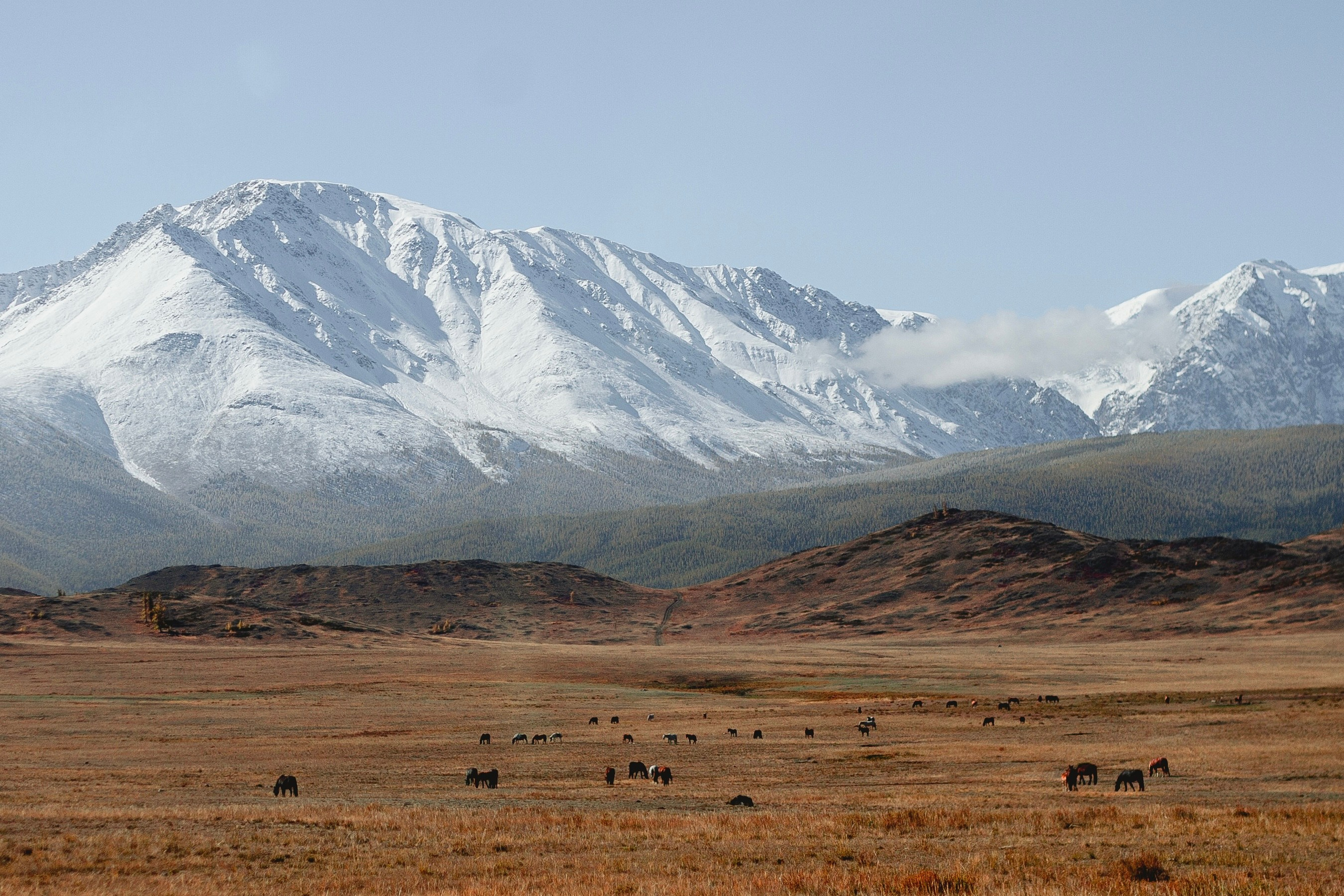 Календарь экспедиций. Уникальные экспедиции — LUCKY CLAN