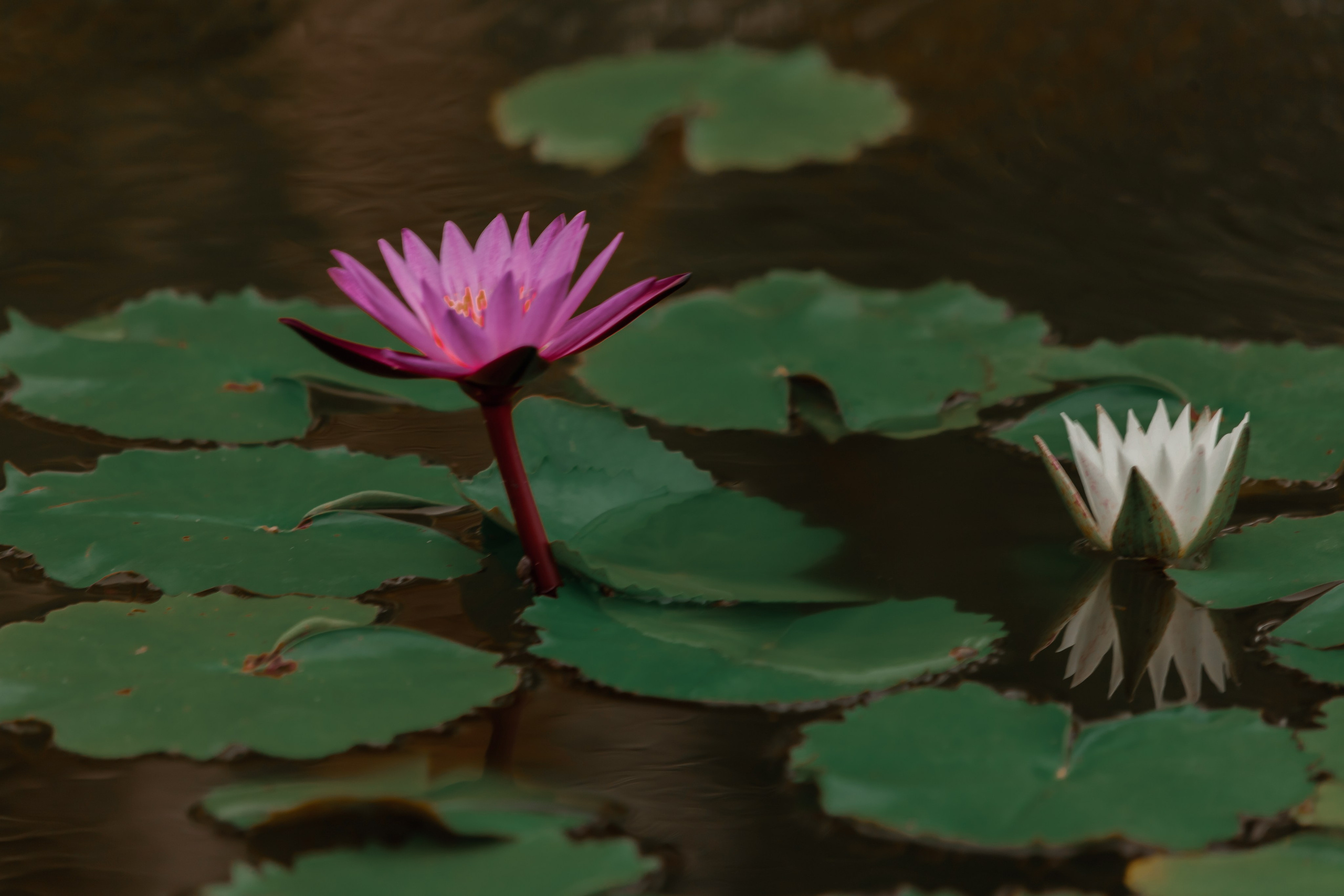 ВЬЕТНАМ 2023 / VIEtTNAM 2024. Главная