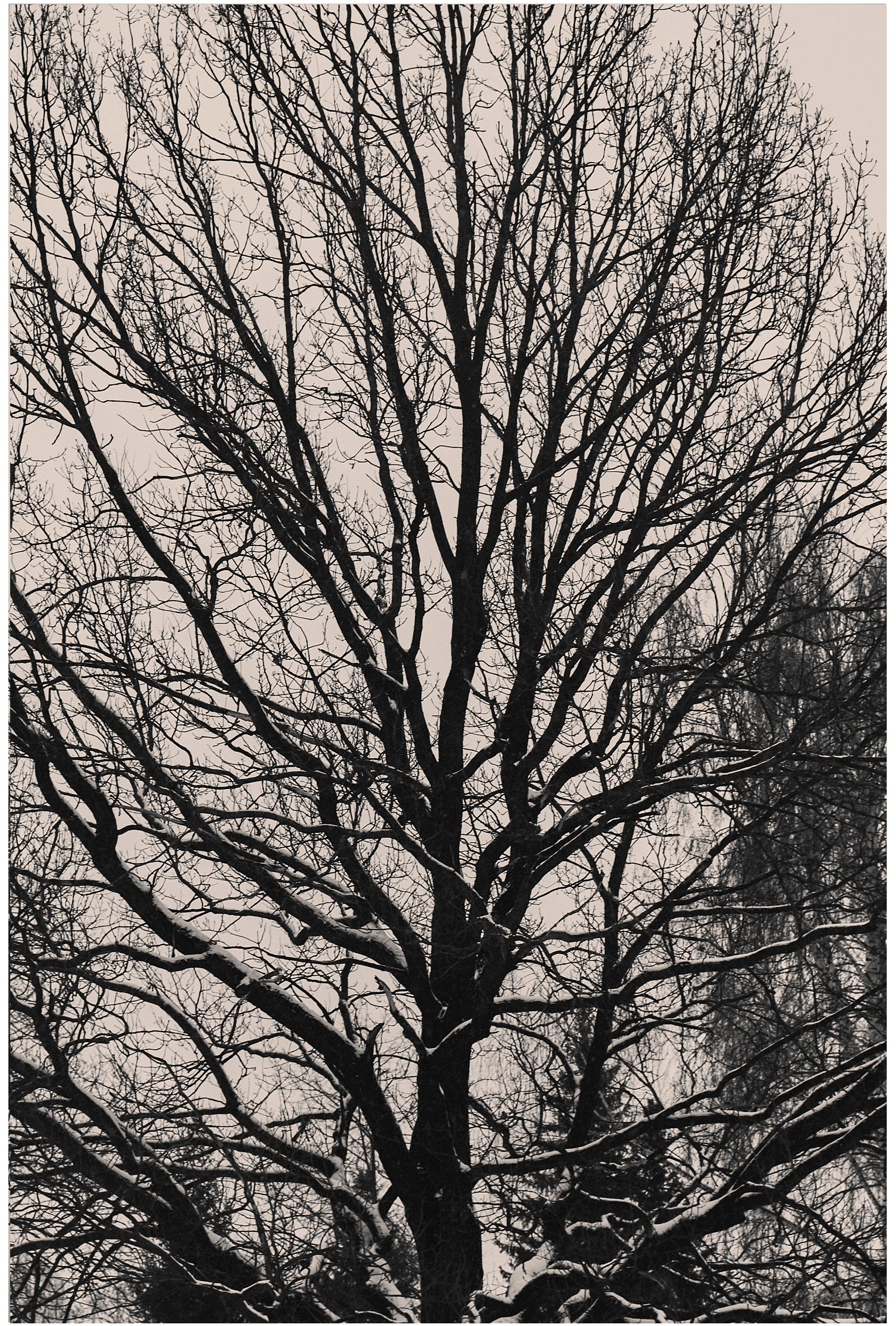 Фотопоказ «Каркас». Коммерческий фотограф в Казани Ксения Добролюбова