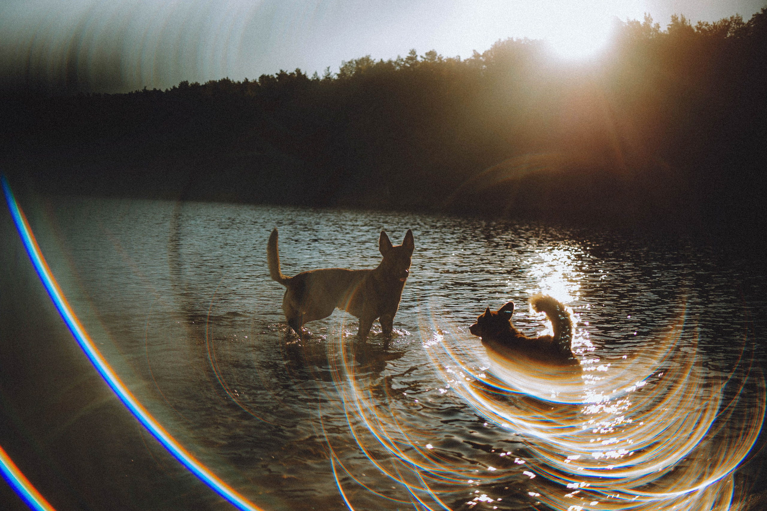 Таня, Ерш и Оллик