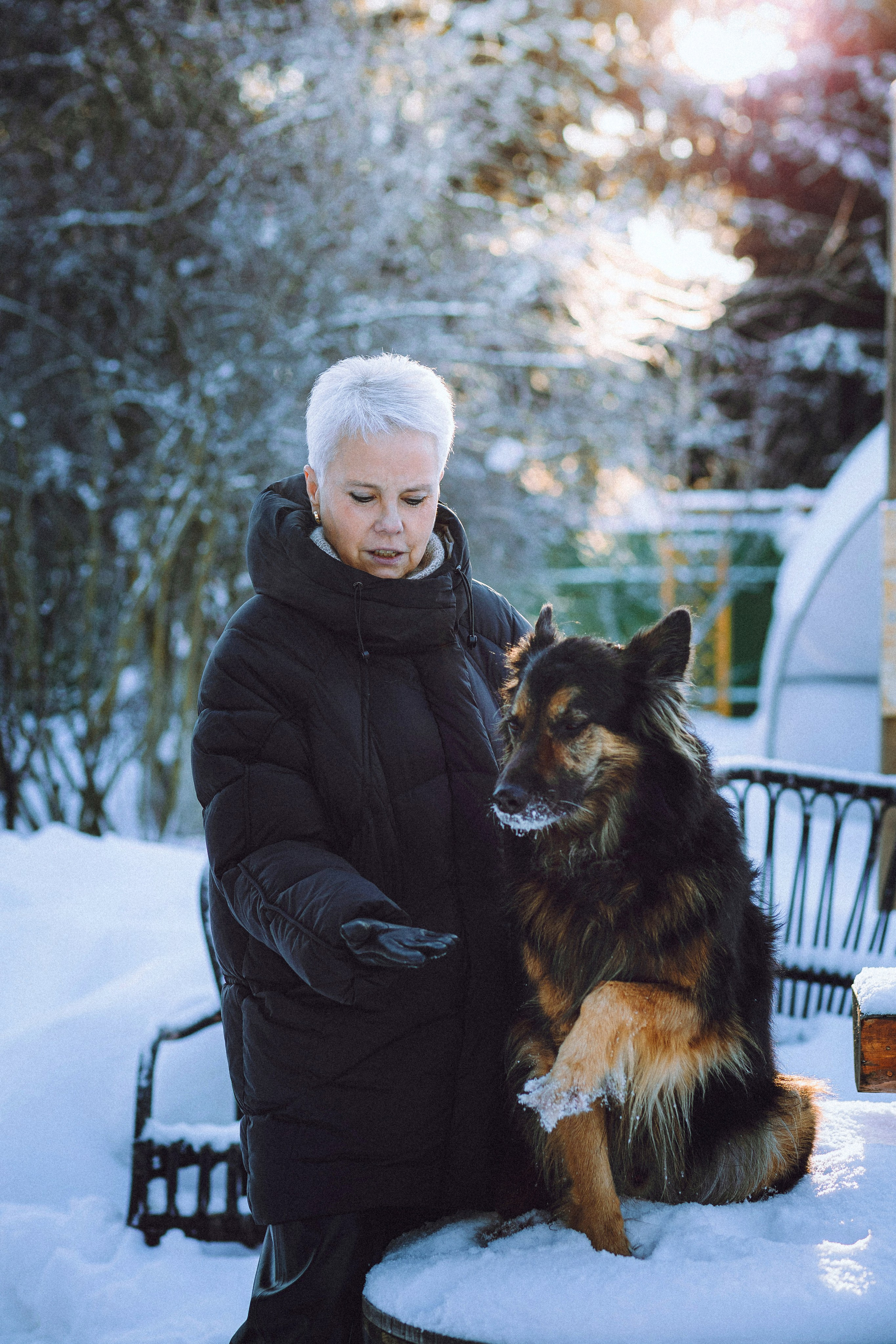 Плюш, Айса и их семья