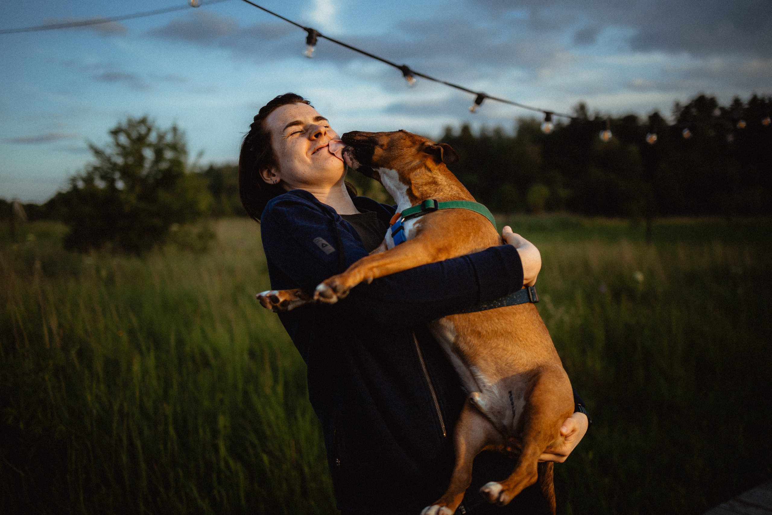 Выездной дог-тренинг от школы «Шерсть имею»