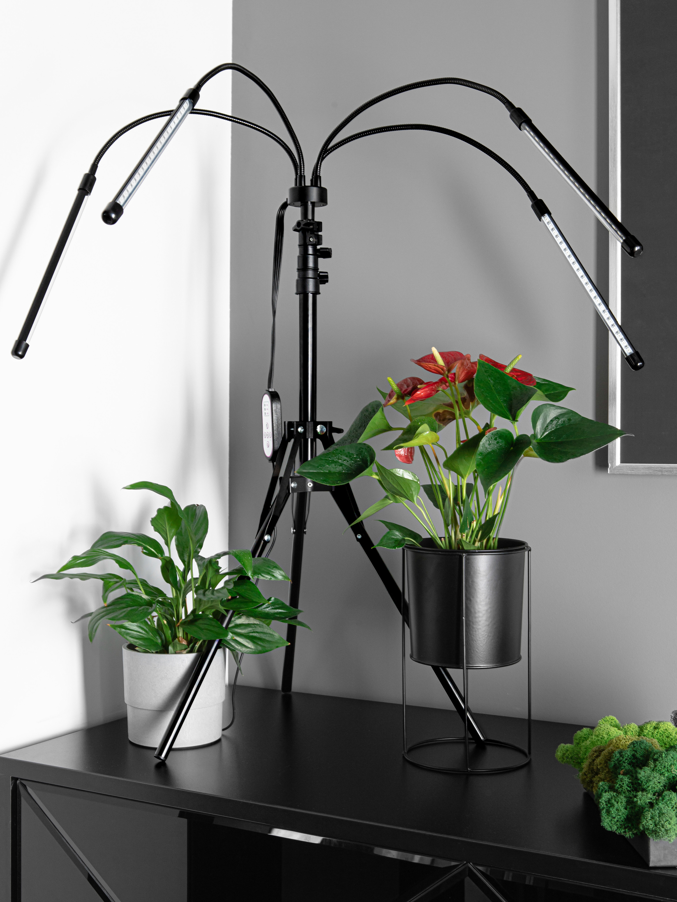 Фото съемка товаров для маркетплейсов. Евгения Морозова фотограф: предметная и ювелирная съемка, фудфото