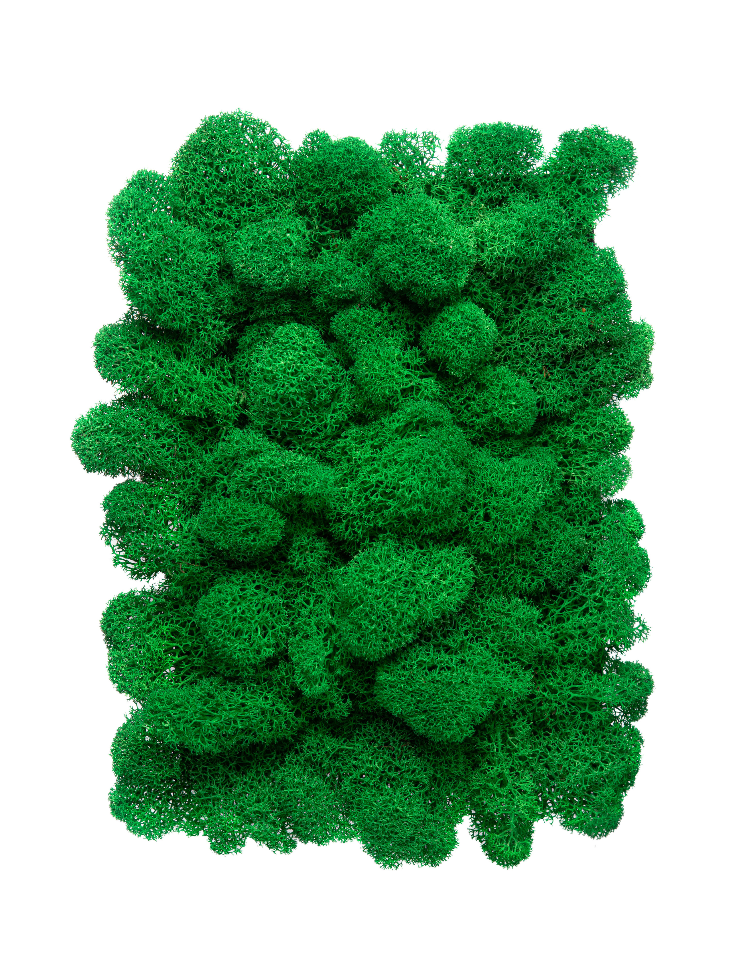 Фото съемка товаров для маркетплейсов. Евгения Морозова фотограф: предметная и ювелирная съемка, фудфото