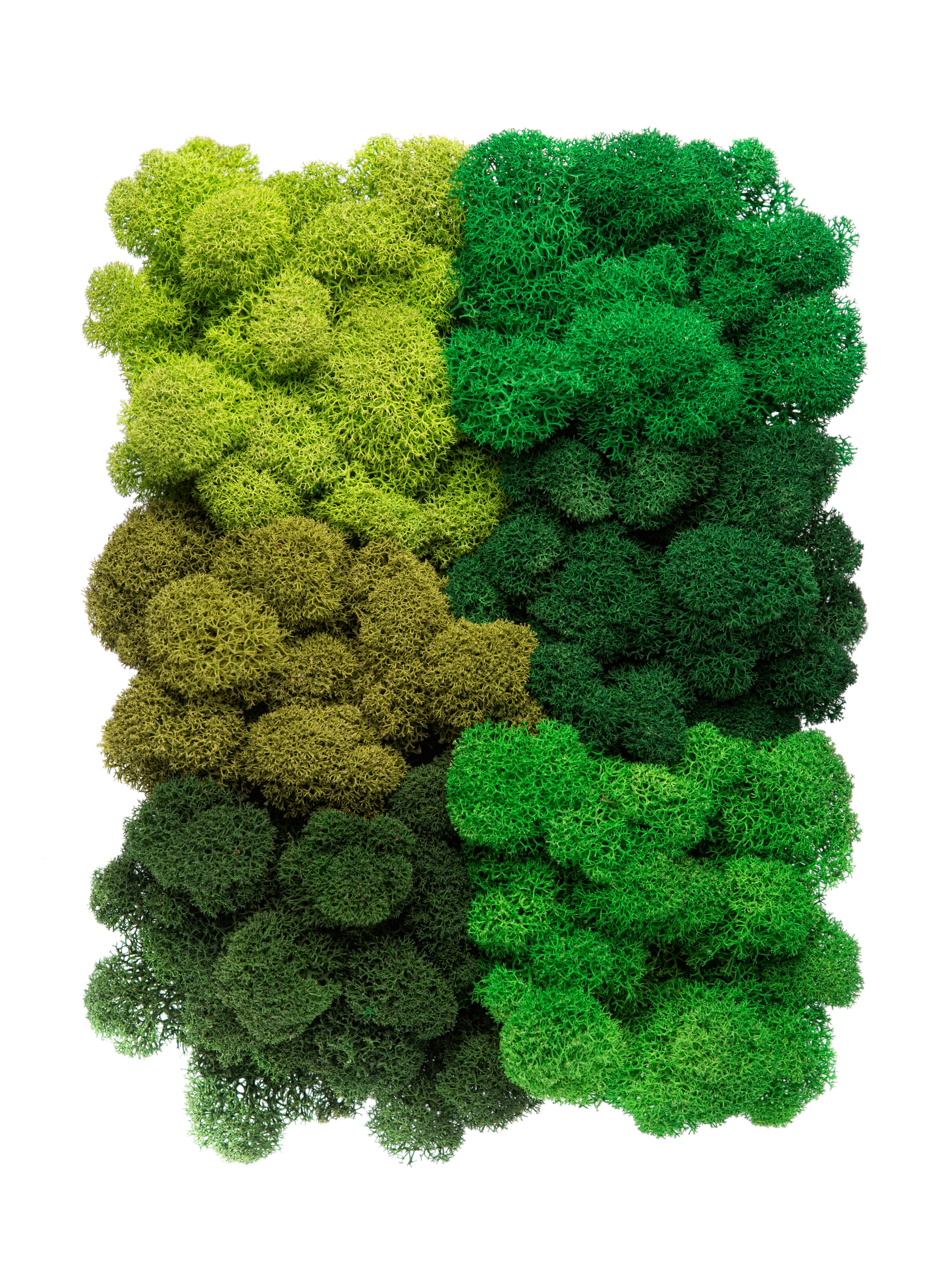 Фото съемка товаров для маркетплейсов. Евгения Морозова фотограф: предметная и ювелирная съемка, фудфото