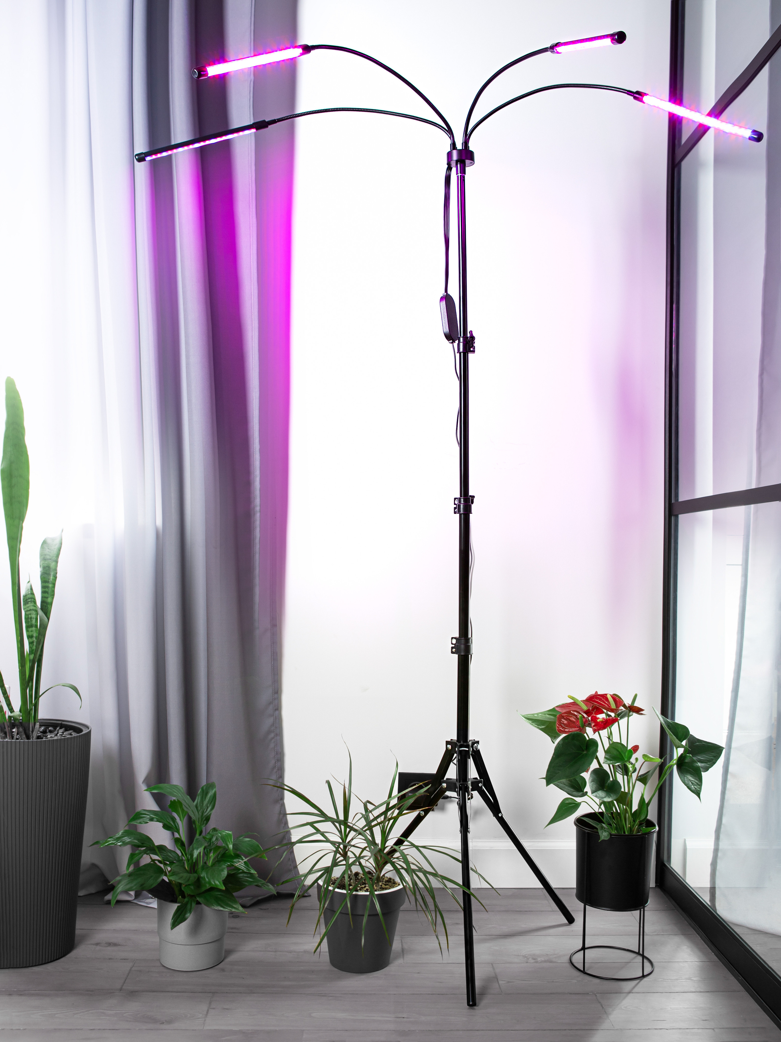 Фото съемка товаров для маркетплейсов. Евгения Морозова фотограф: предметная и ювелирная съемка, фудфото