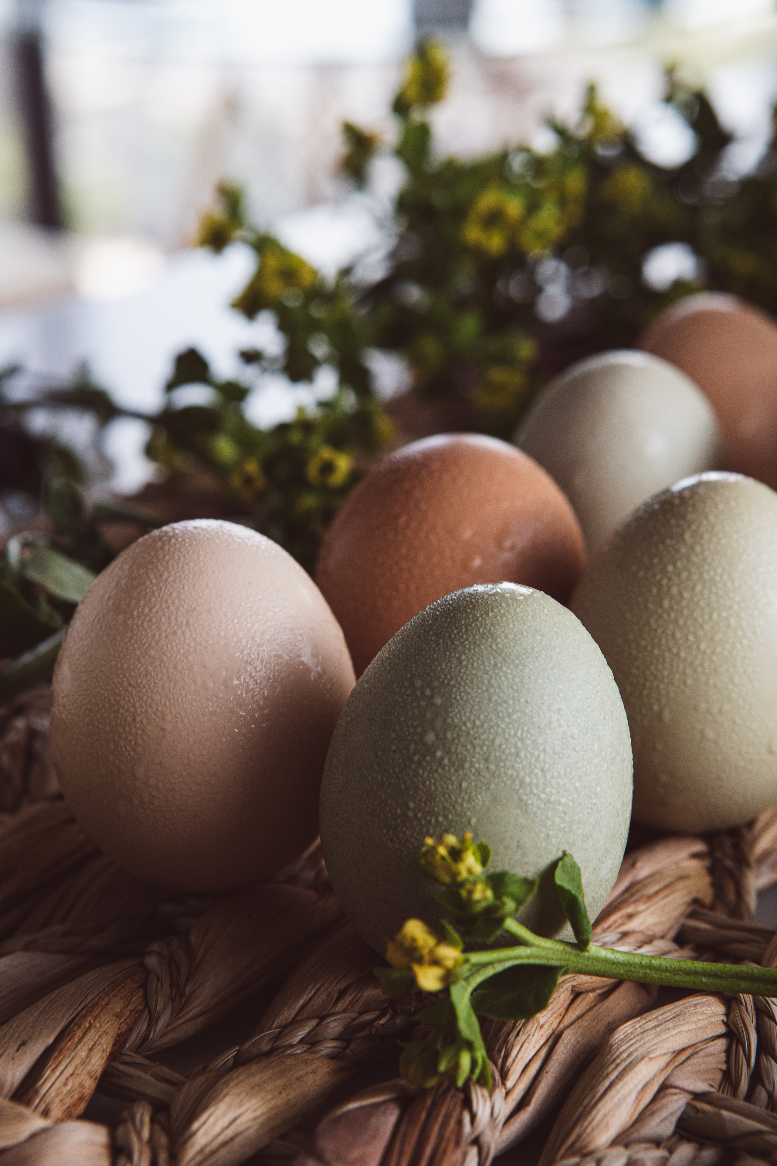 Фото съемка Еды Фудфото. Евгения Морозова фотограф: предметная и ювелирная съемка, фудфото