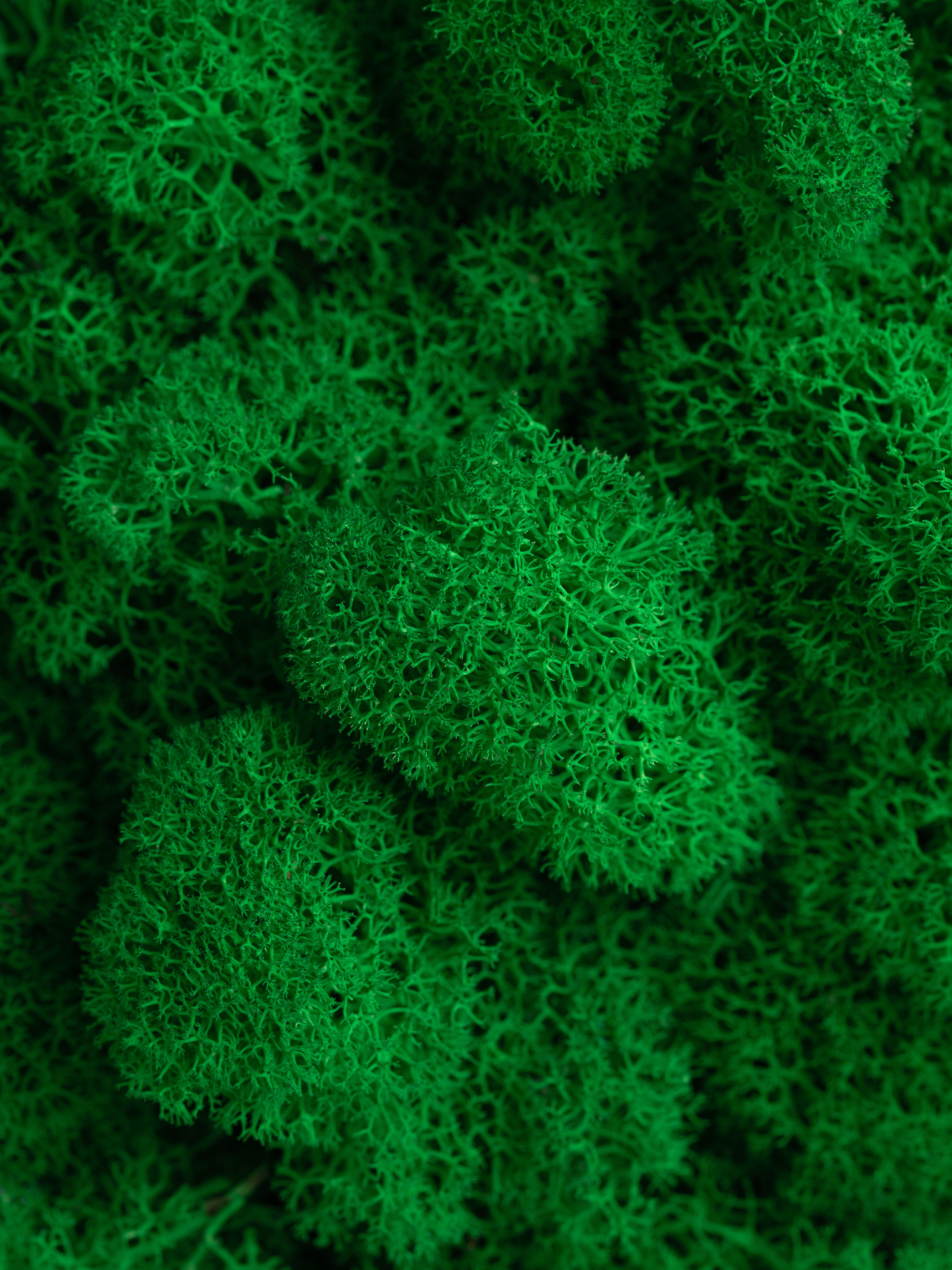 Фото съемка товаров для маркетплейсов. Евгения Морозова фотограф: предметная и ювелирная съемка, фудфото