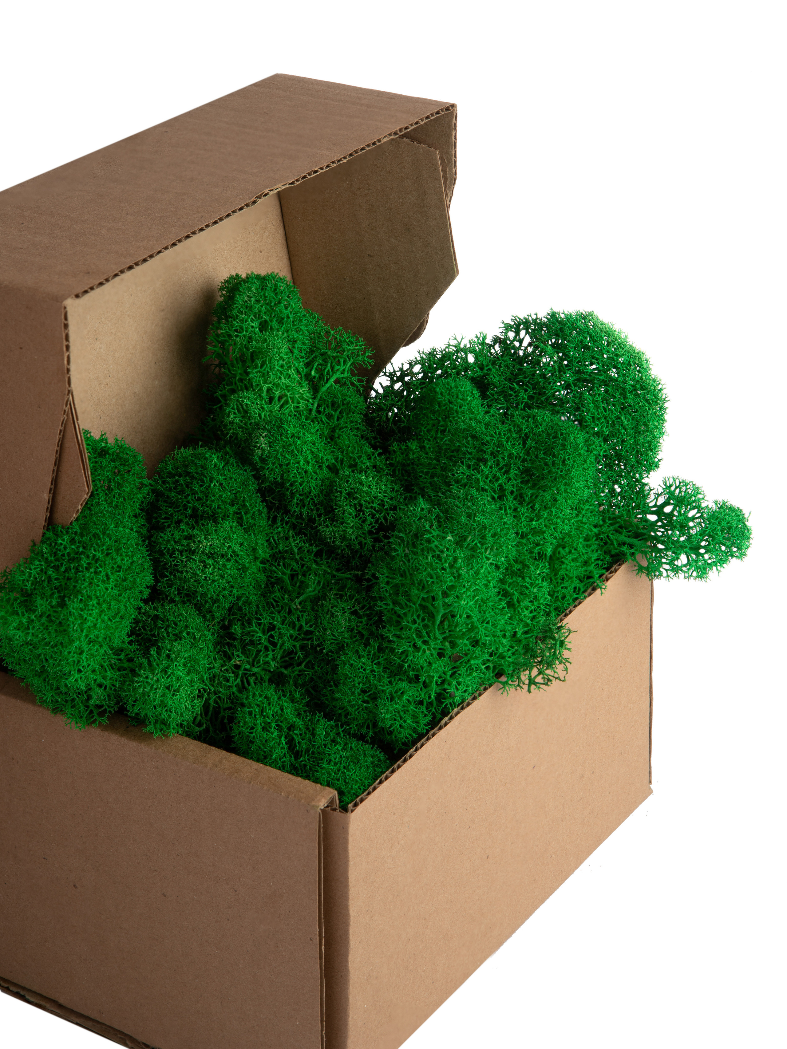 Фото съемка товаров для маркетплейсов. Евгения Морозова фотограф: предметная и ювелирная съемка, фудфото