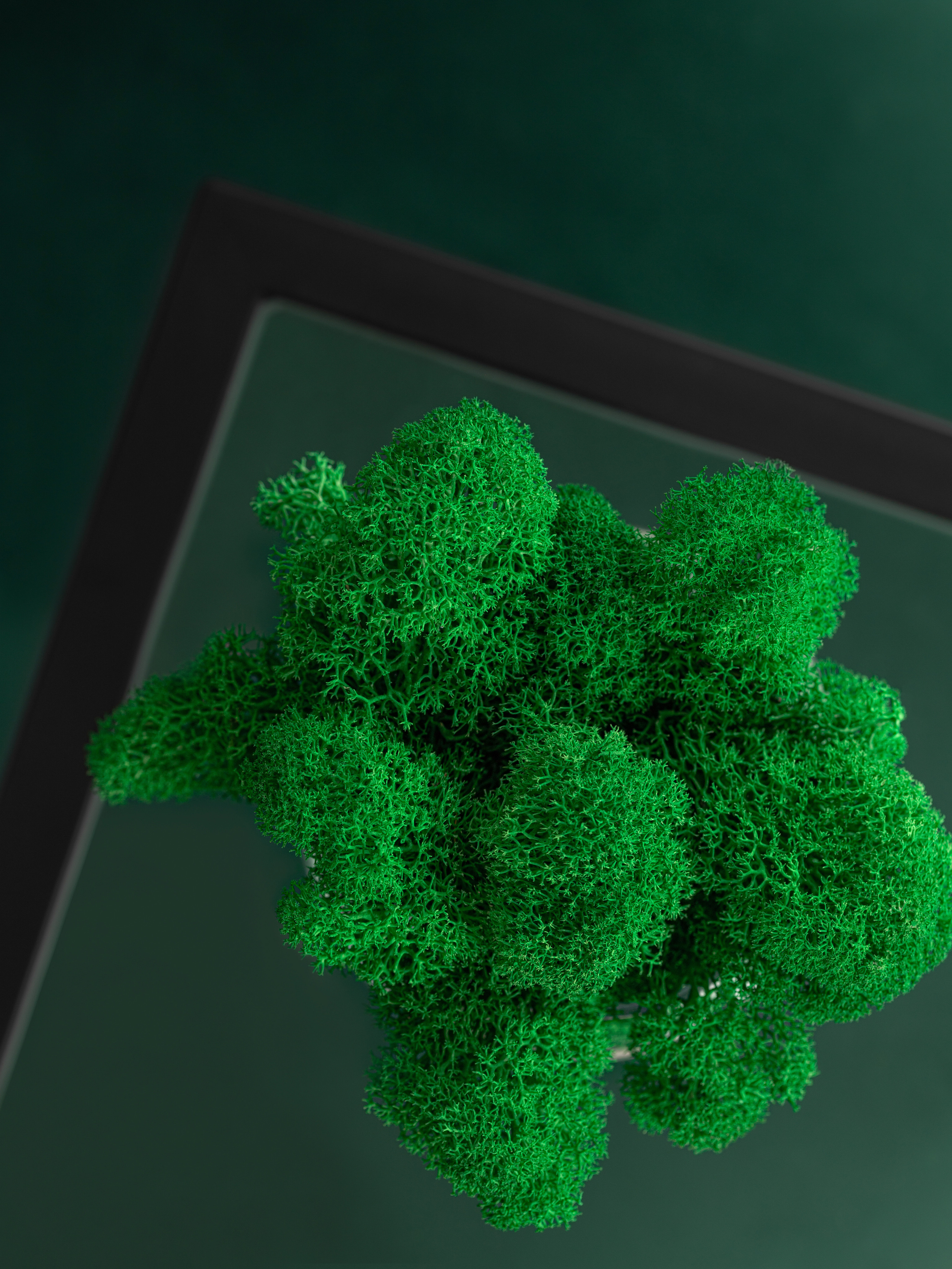 Фото съемка товаров для маркетплейсов. Евгения Морозова фотограф: предметная и ювелирная съемка, фудфото