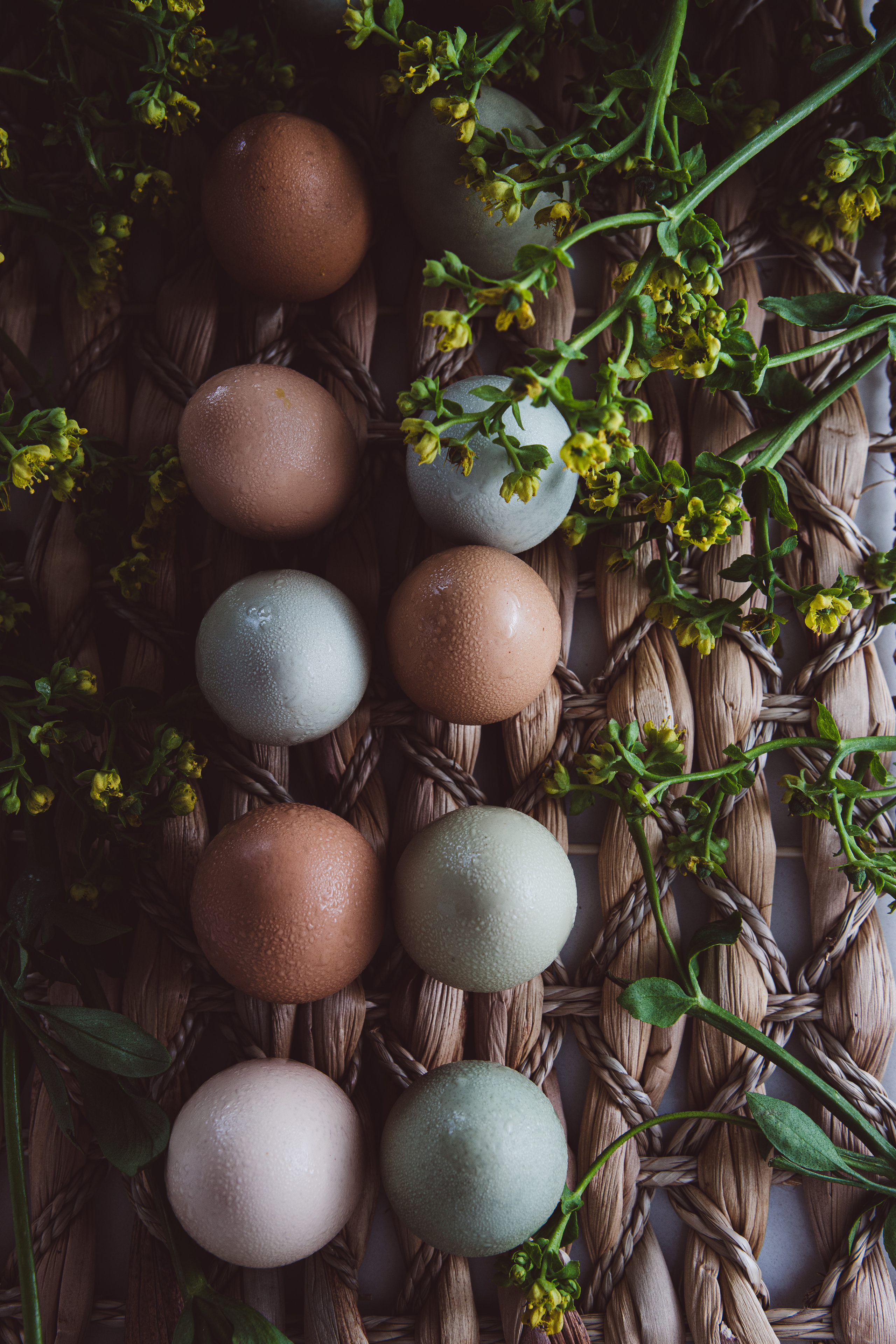 Фото съемка Еды Фудфото. Евгения Морозова фотограф: предметная и ювелирная съемка, фудфото