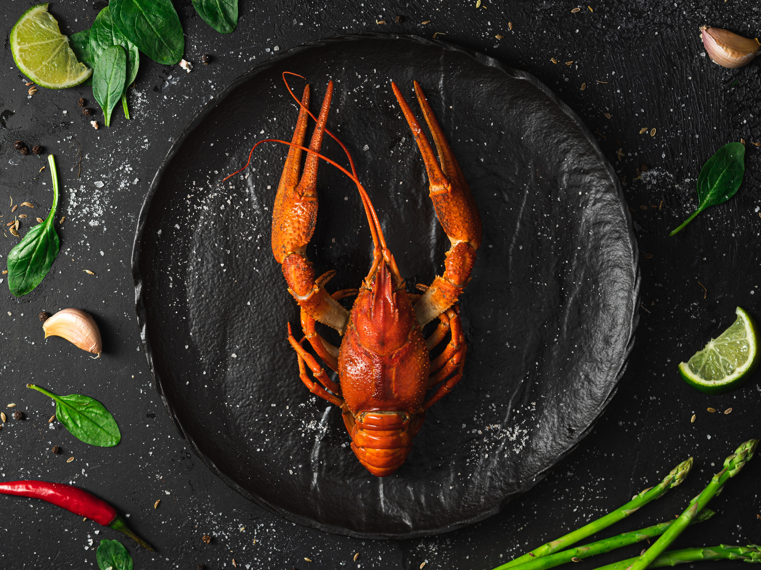 Вареный рак на черном фоне рекламное фото. Евгения Морозова. Предметный коммерческий фуд фотограф. Москва.