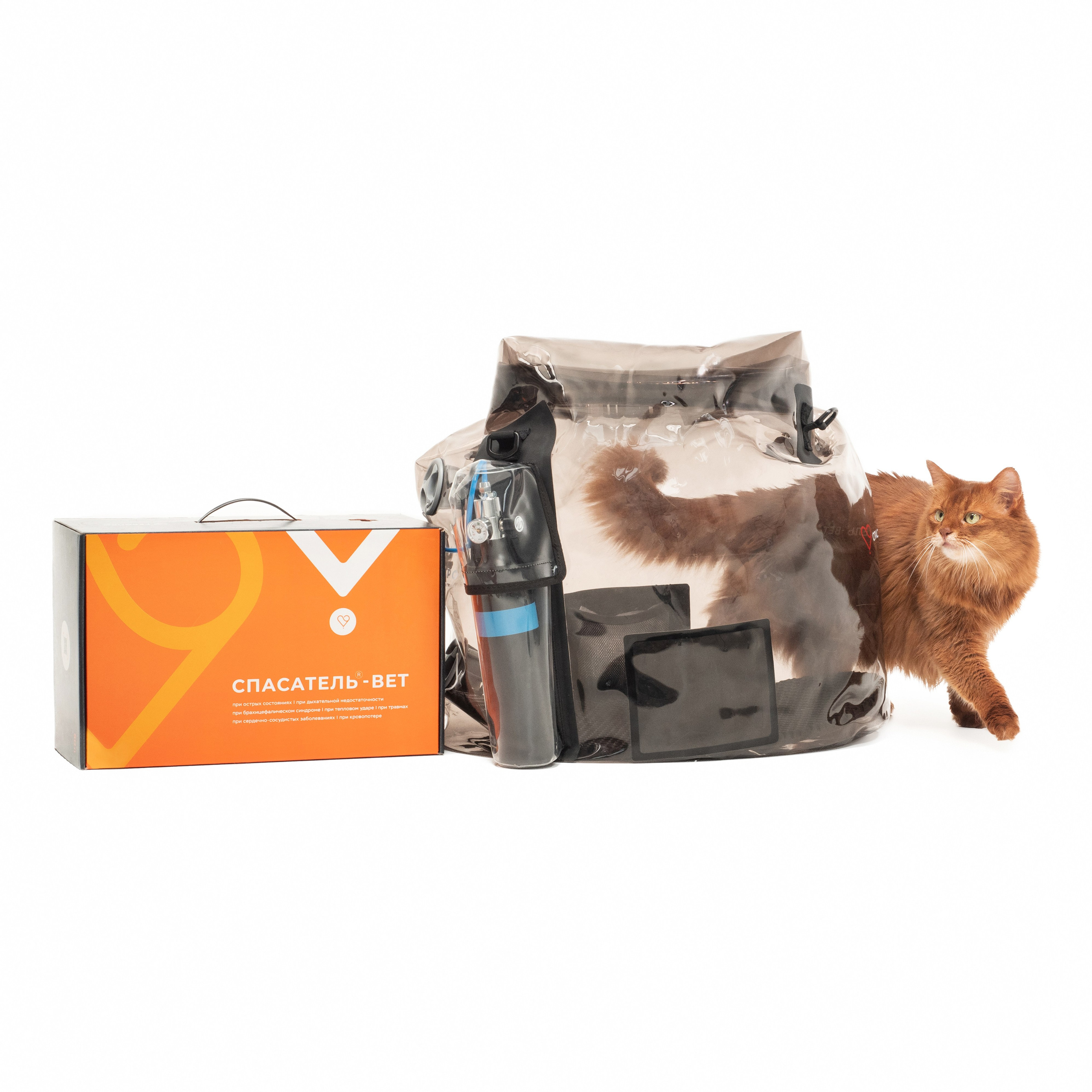 Рекламная съёмка. Фотограф животных и людей в Санкт-Петербурге Дарья Быстрицкая