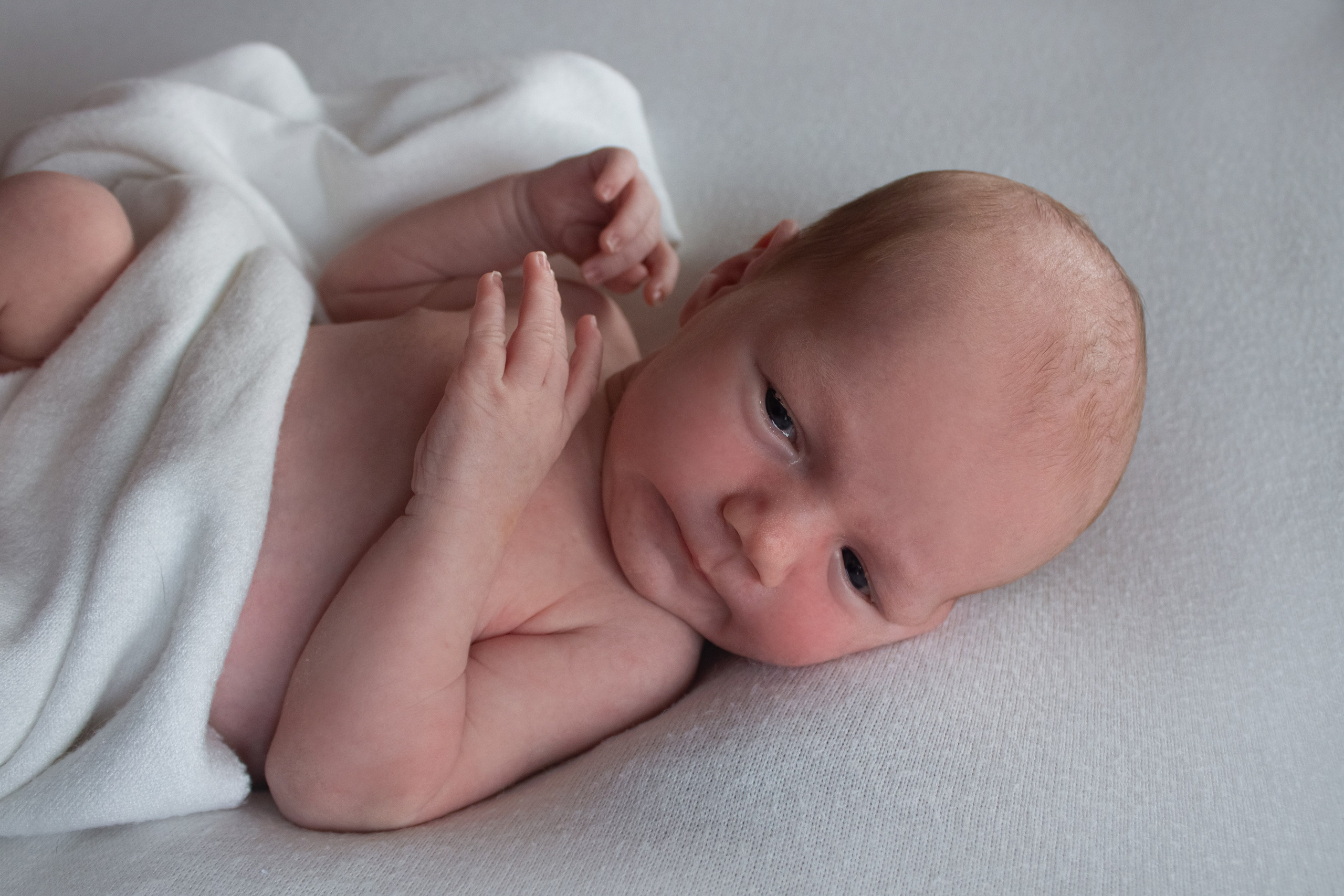 Newborn. Фотограф новорожденных Новосибирск