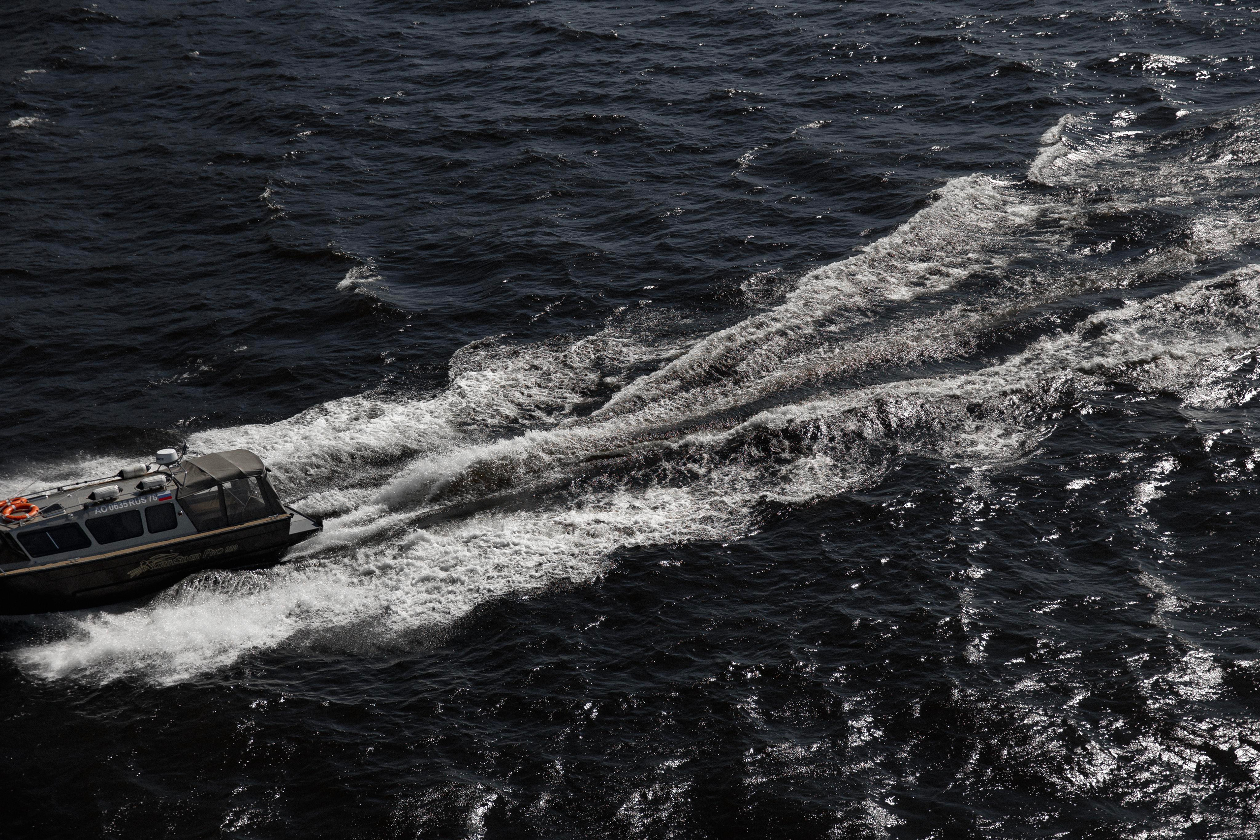 Питер разводит мосты. Фотограф в Новосибирске и Москве