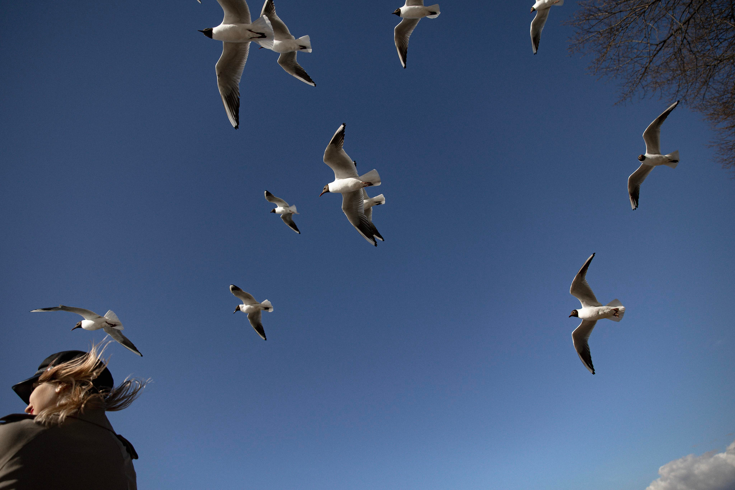 Портретные. Фотограф в Новосибирске и Москве