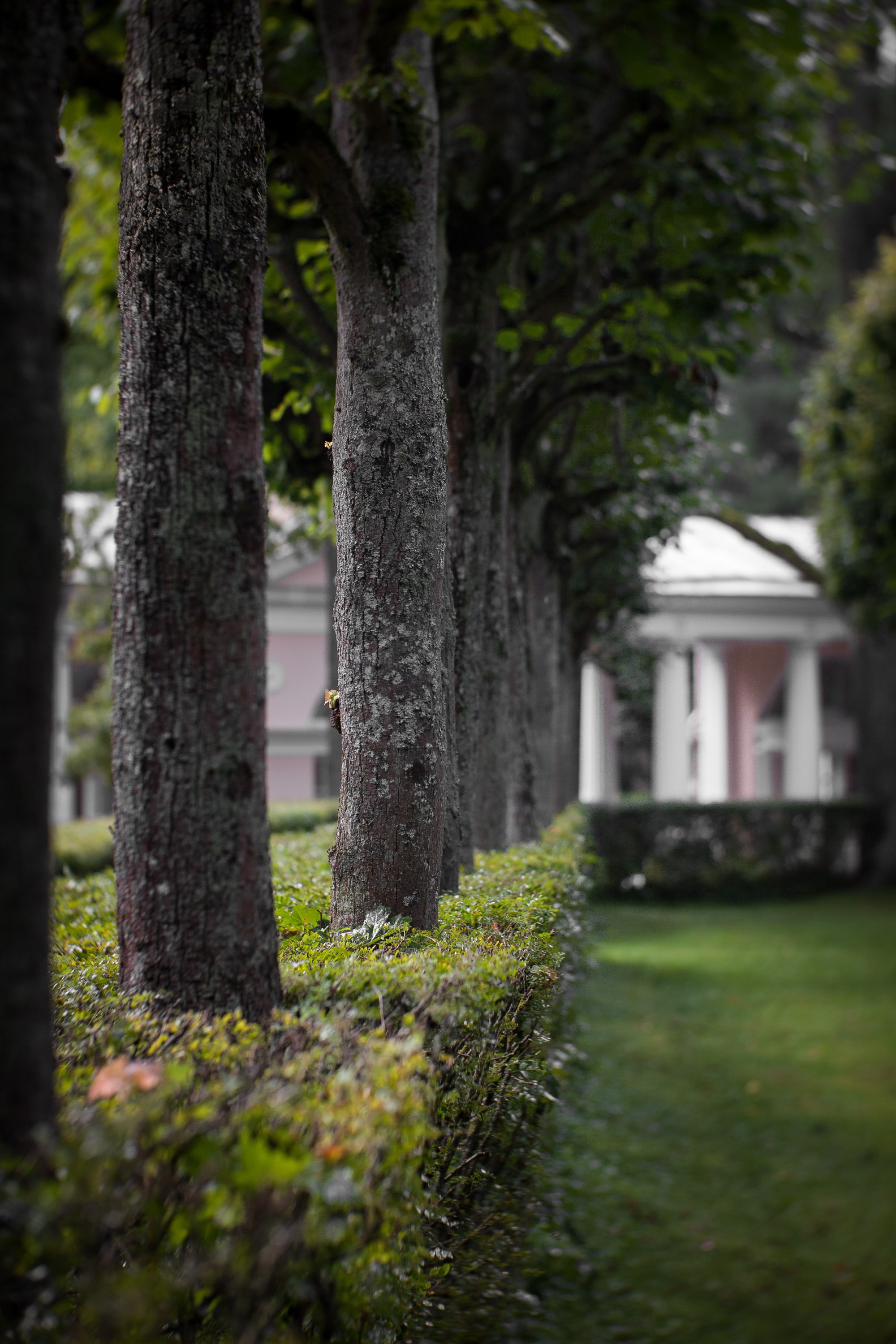 Ландшафтная фотография. Туманов Виталий — фотограф Москва