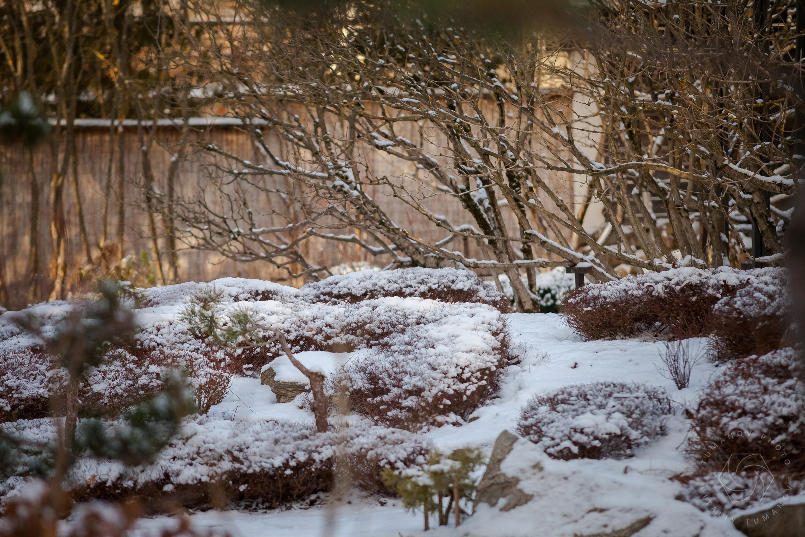 ОДНИМ СОЛНЕЧНЫМ ЗИМНИМ ДНЁМ!. Виталий Туманов — Ландшафтный фотограф