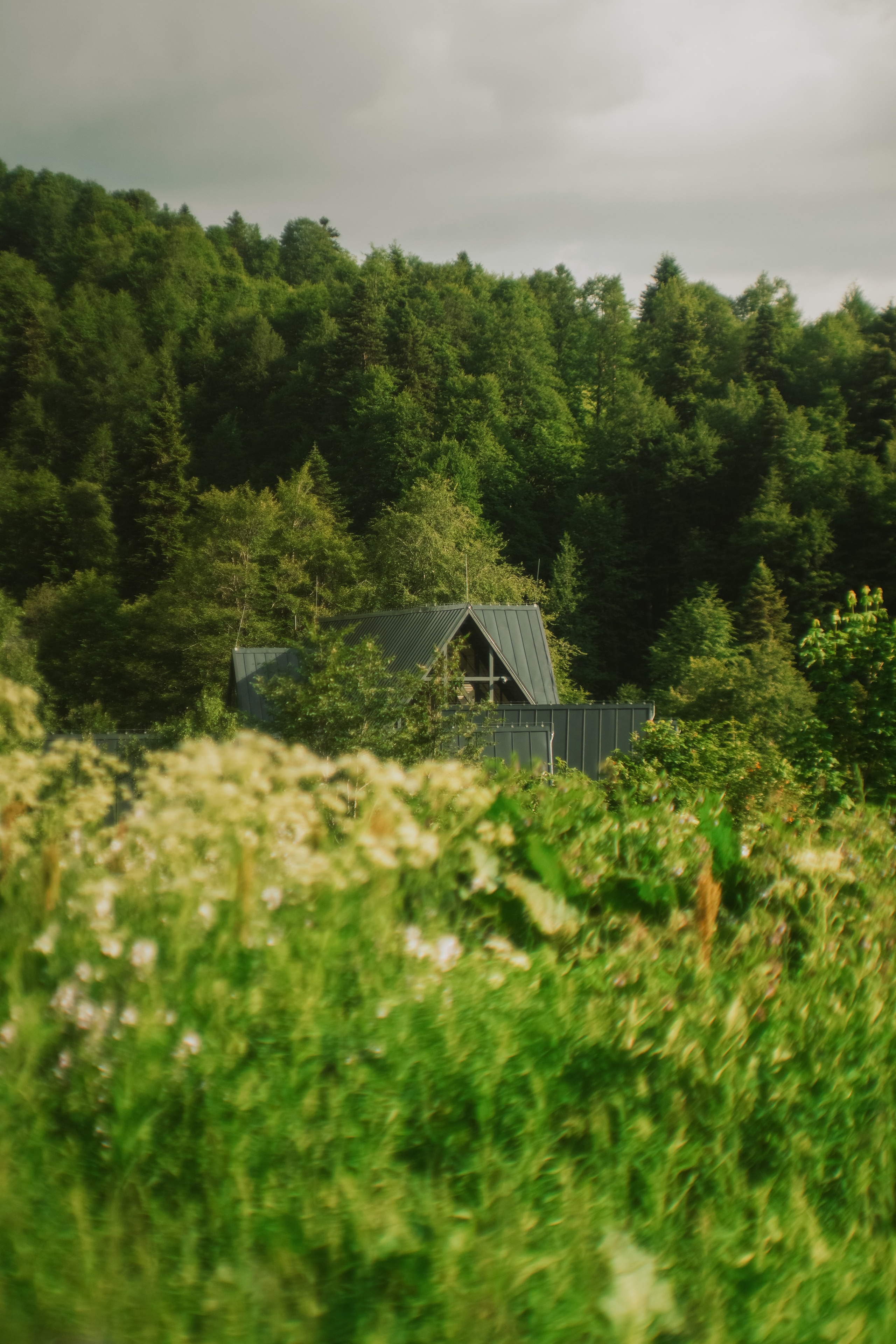Нахазо ✽ Июль. Репортажный фотограф | Роза Хутор Красная Поляна Сочи Сириус