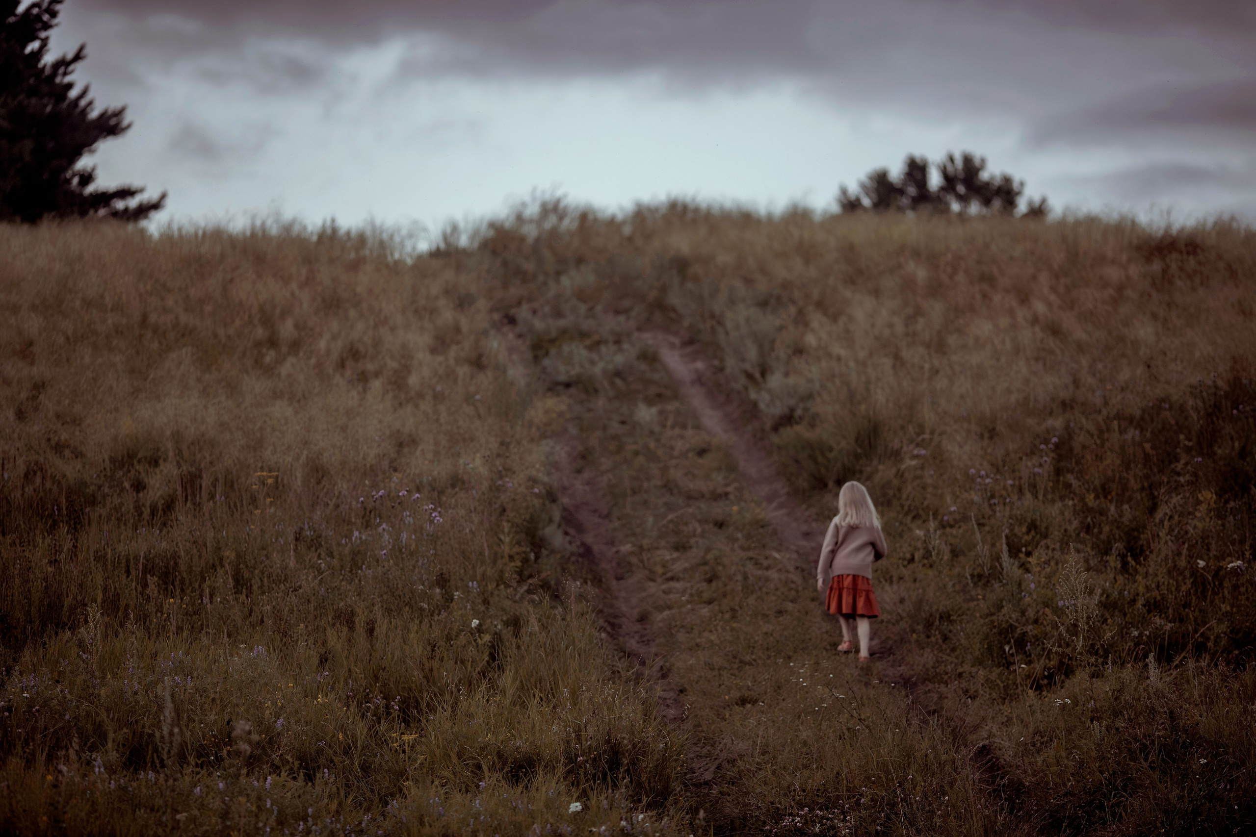 Семейная съёмка. Семейный фотограф в Кургане