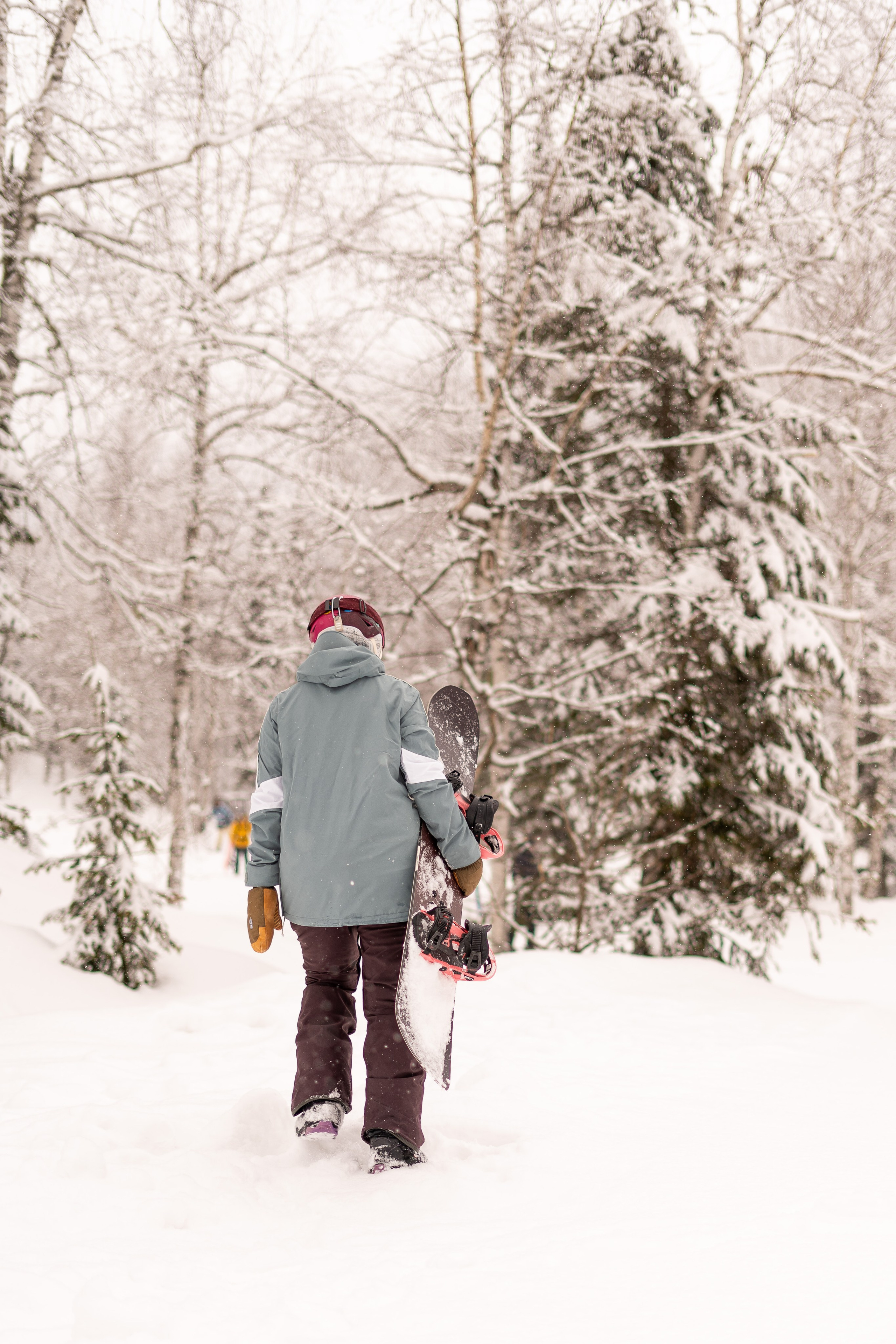 Джой 21.03.24. Анастасия Паршукова — фотограф Шерегеш Новосибирск