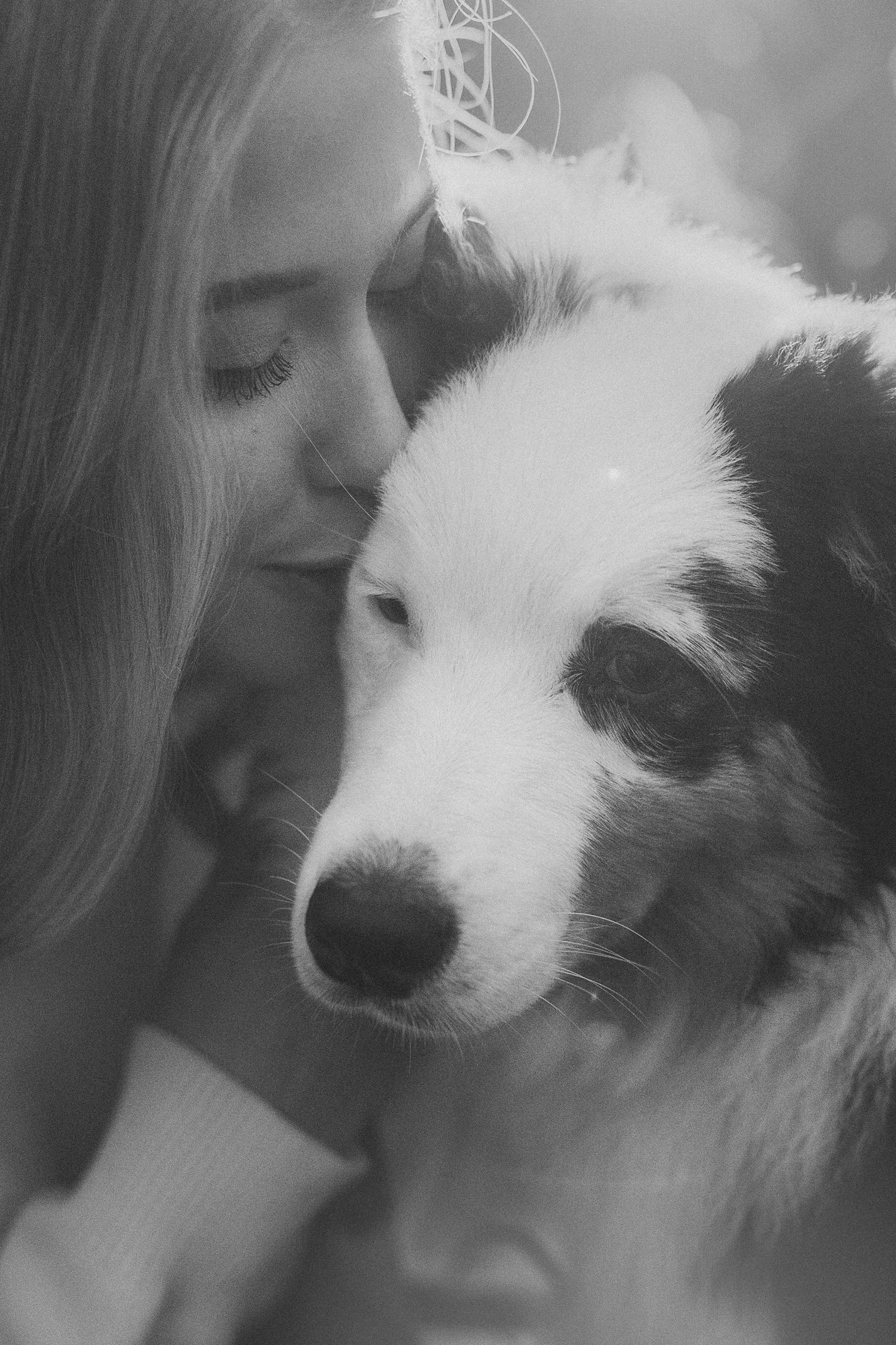 Лиза и Бублик. Фотограф анималист в Москве и Санкт-Петербурге Свиридова Анна