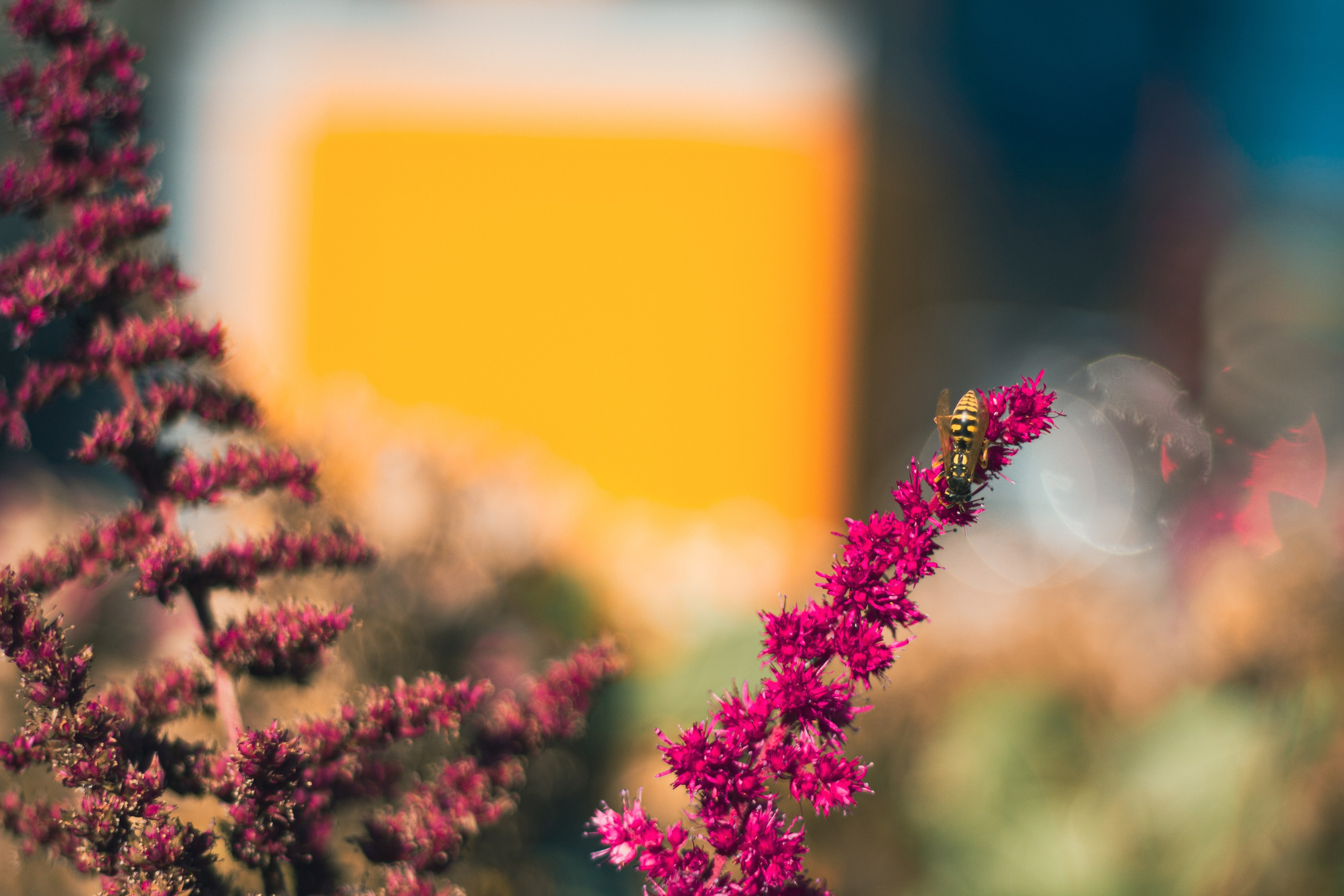 Природа. Фотограф Москва, портрет, стрит, репортаж. Художественная фотосессия