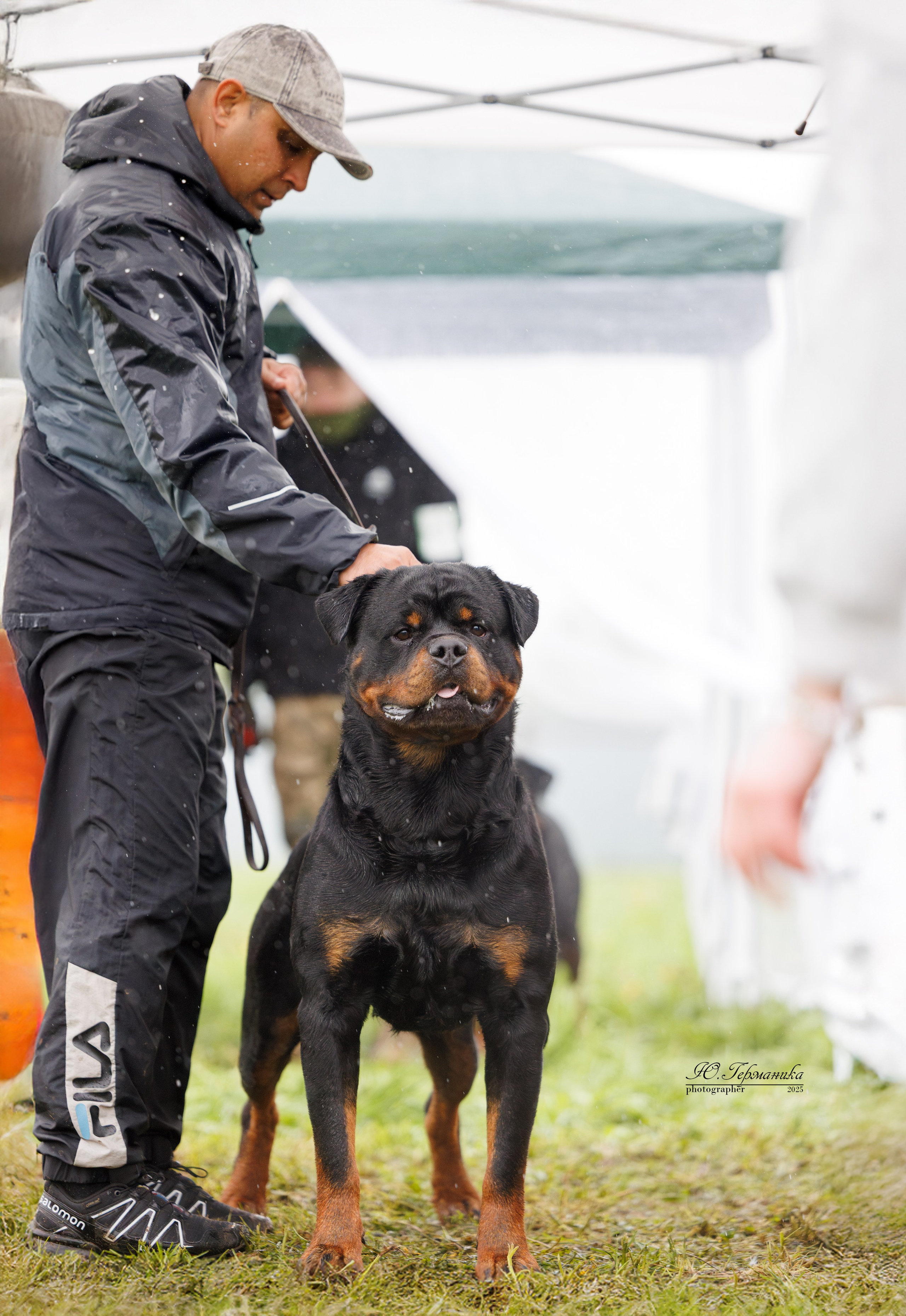 Нижний Новгород 2хмоно ротвейлеров 10-11.05.2025. Фотограф-анималист Юлия Германика