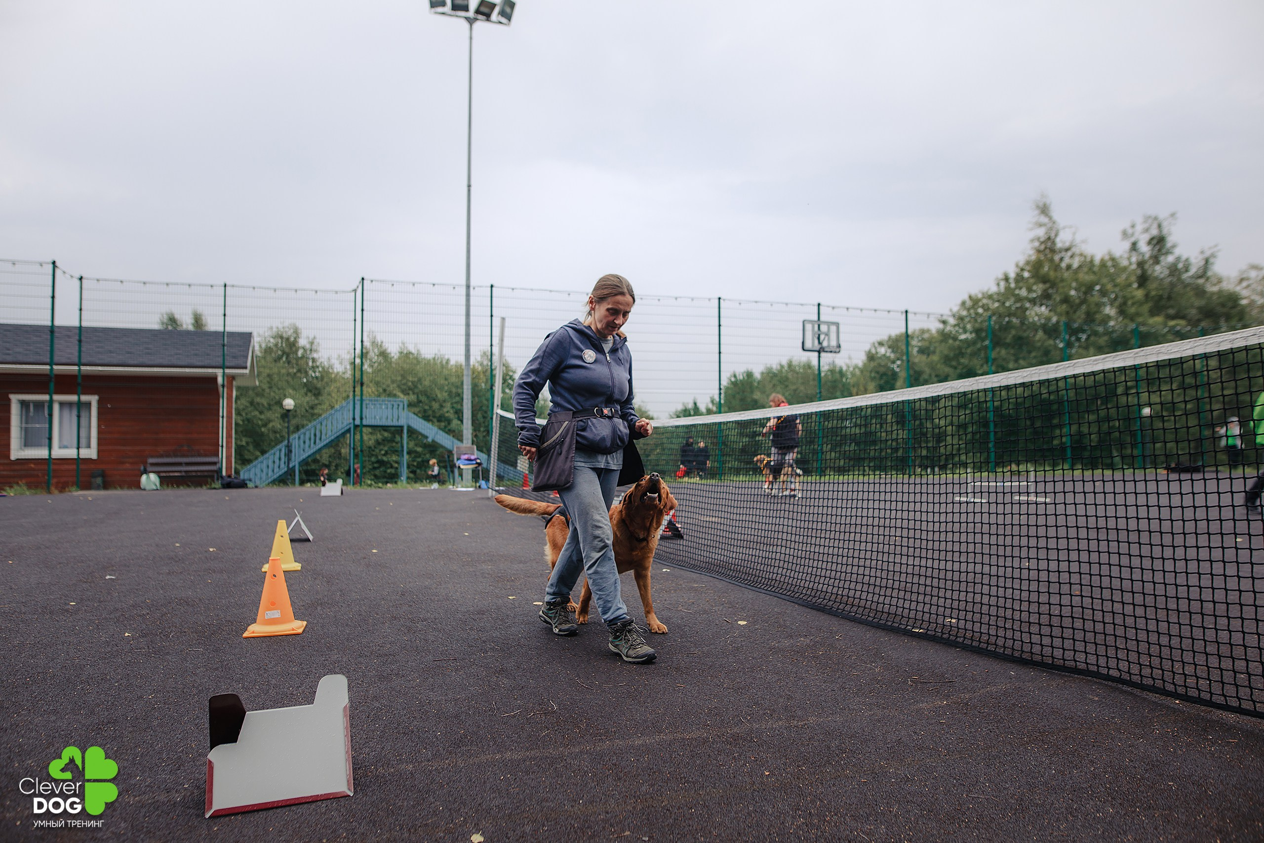 Кинологический лагерь CleverDog, 2024. Фотограф-анималист Mary Mart — Москва, Питер