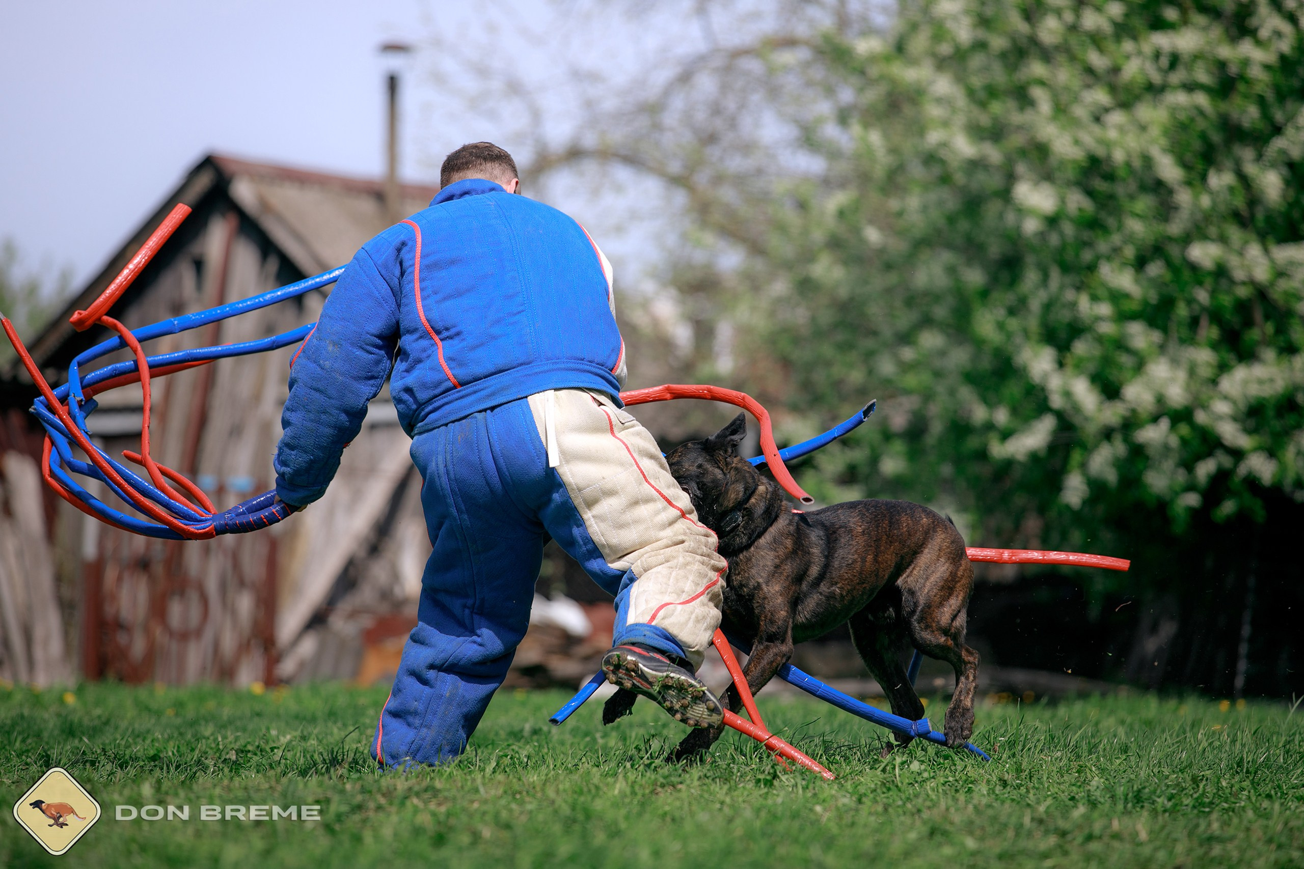 Семинар для фигурантов, день 4. Фотограф-анималист Mary Mart — Москва, Питер
