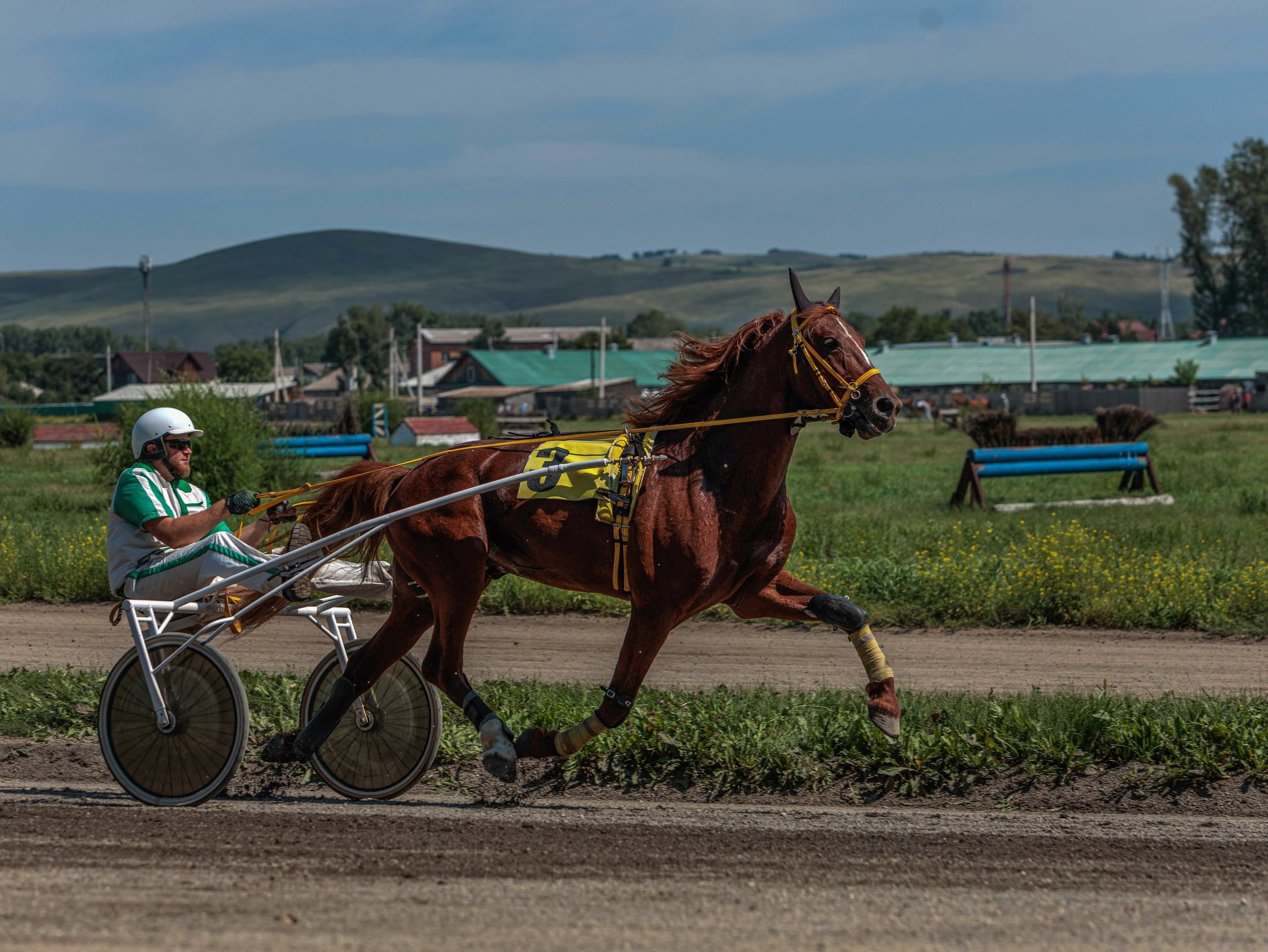 Зарисовки Абаканский ипподром 2025. Конный фотограф в Красноярске — Любовь Похабова