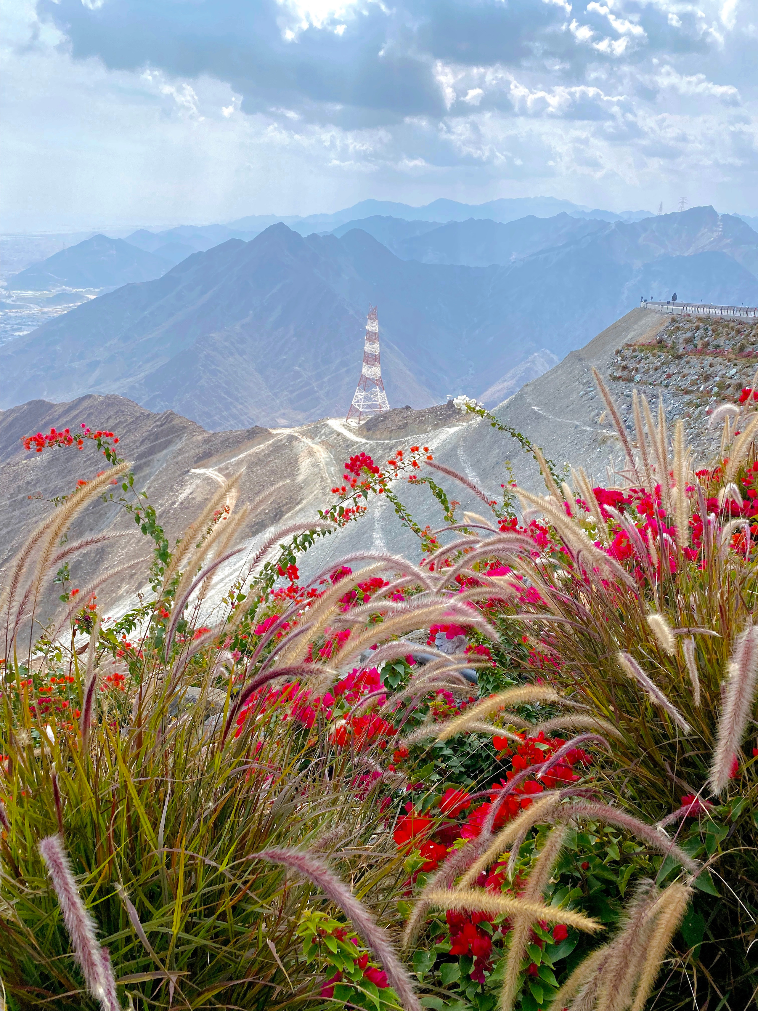 Dubai. Photographer Yana Kotova