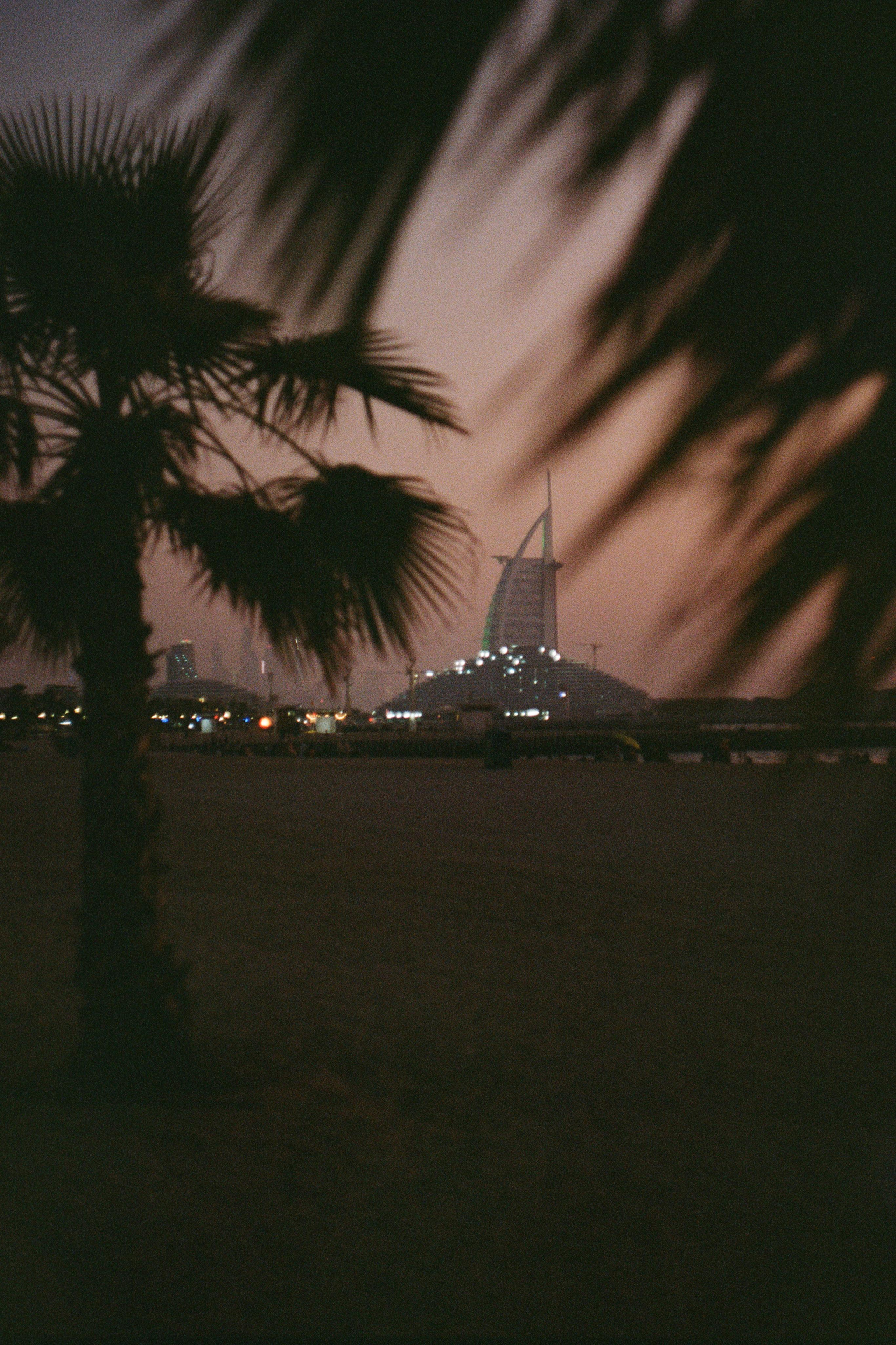 Dubai Film. Photographer Yana Kotova