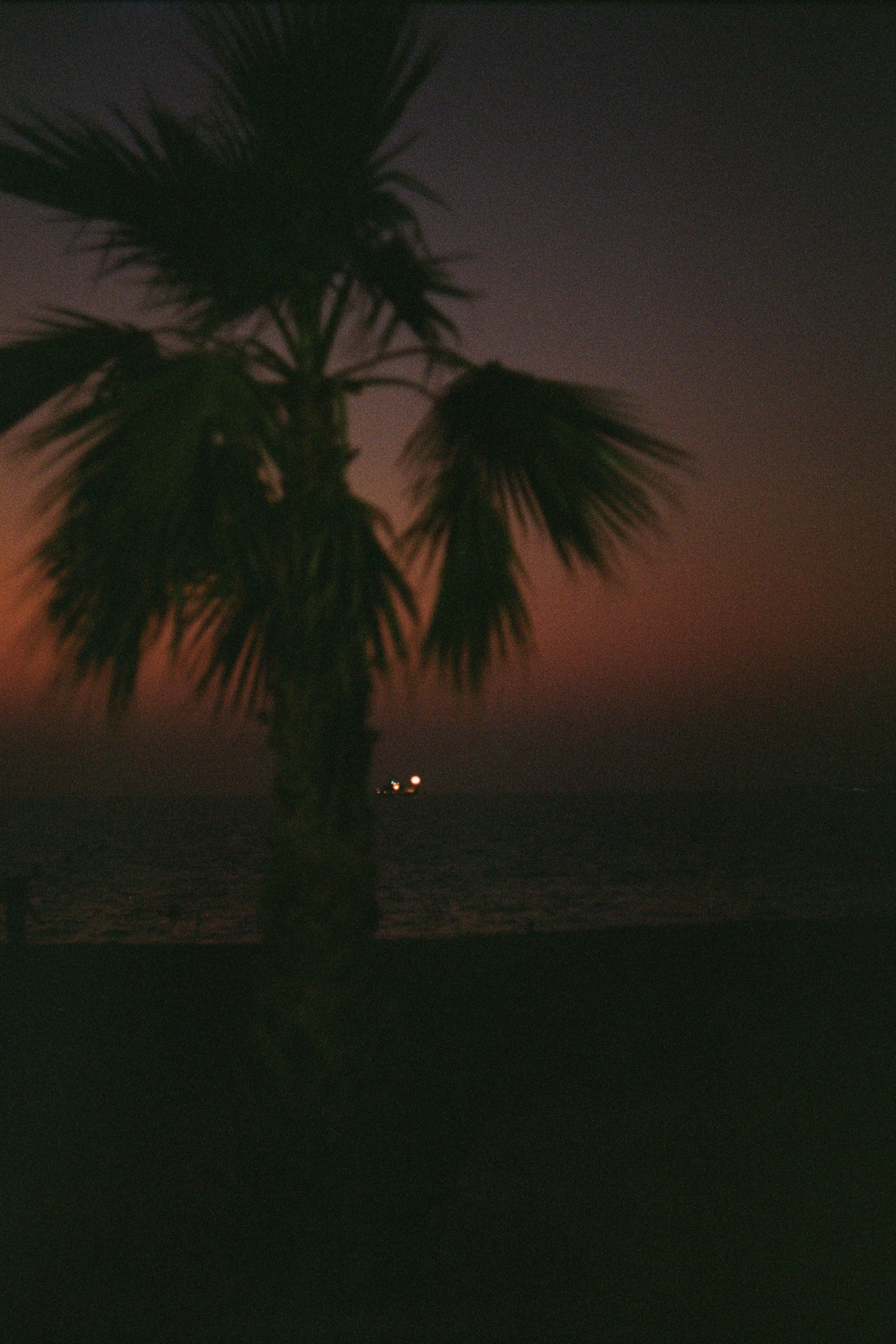 Dubai Film. Photographer Yana Kotova