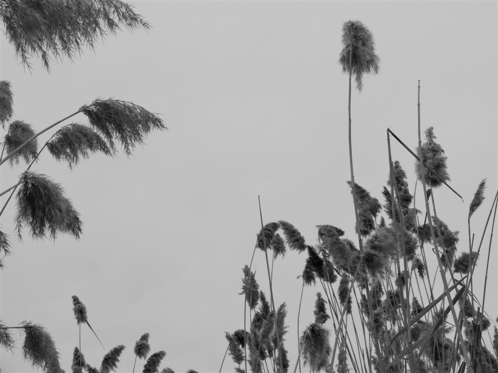 Внутривенные сны (2018-2023)