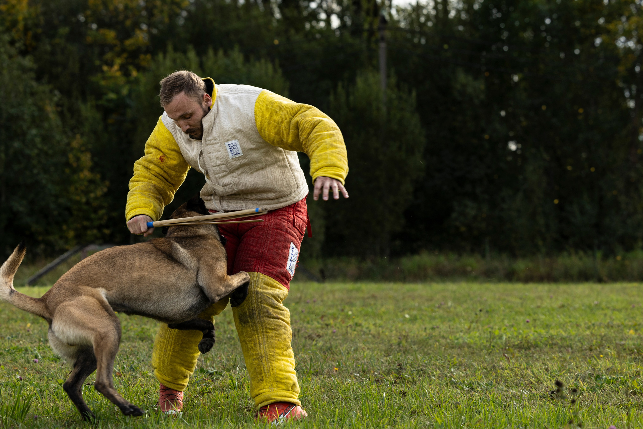 Испытания по Мондьорингу г. Пушкин. Фотограф-анималист Анна Маринич