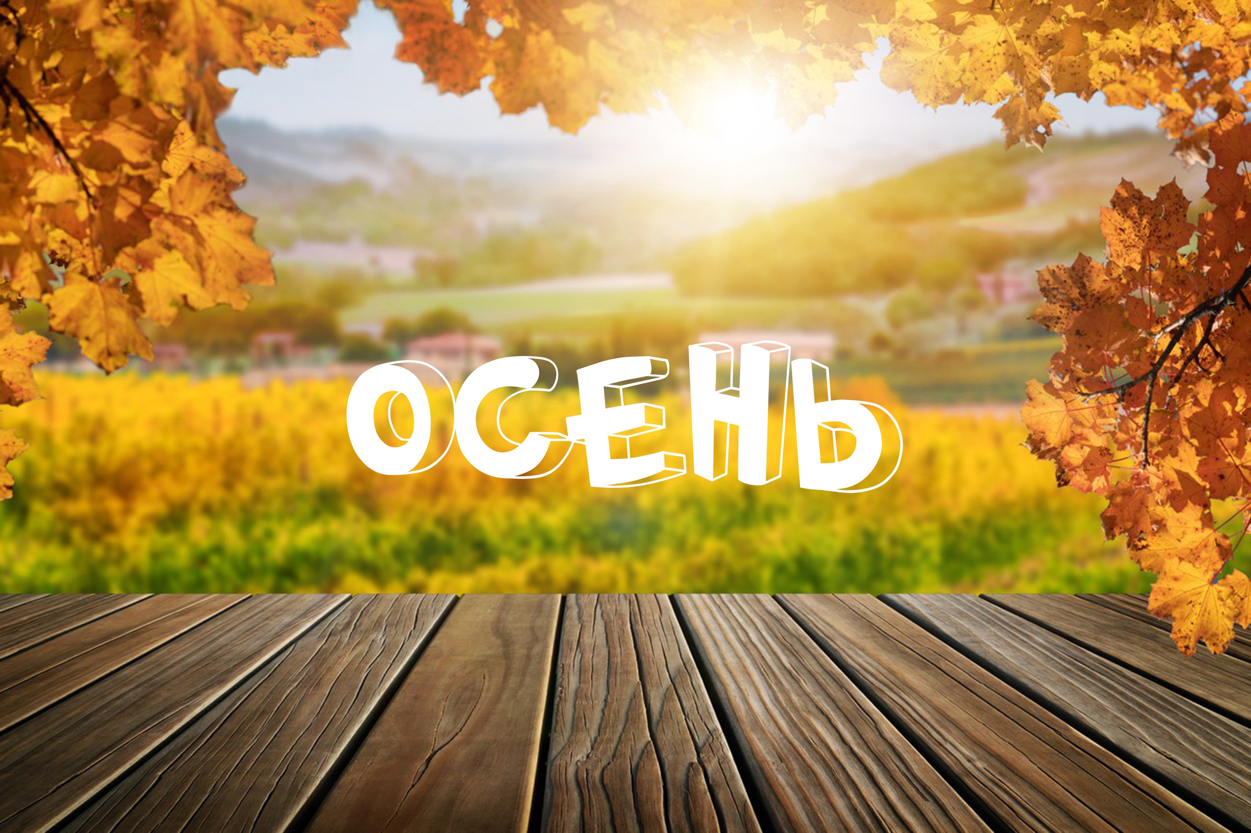 Осенние краски. ФотоАрт