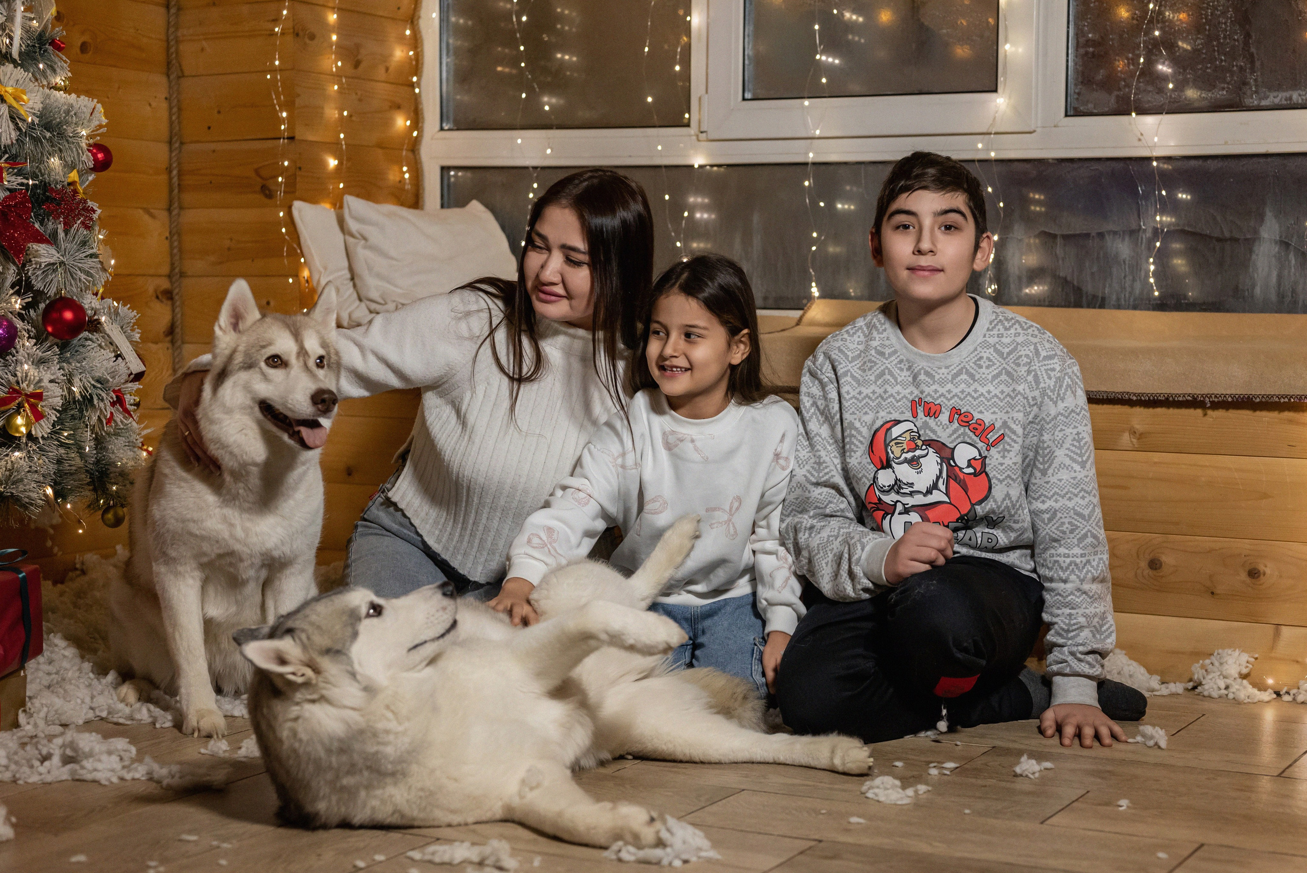 Фотопроект с хаски 2025 г. Фотограф в городе Салават