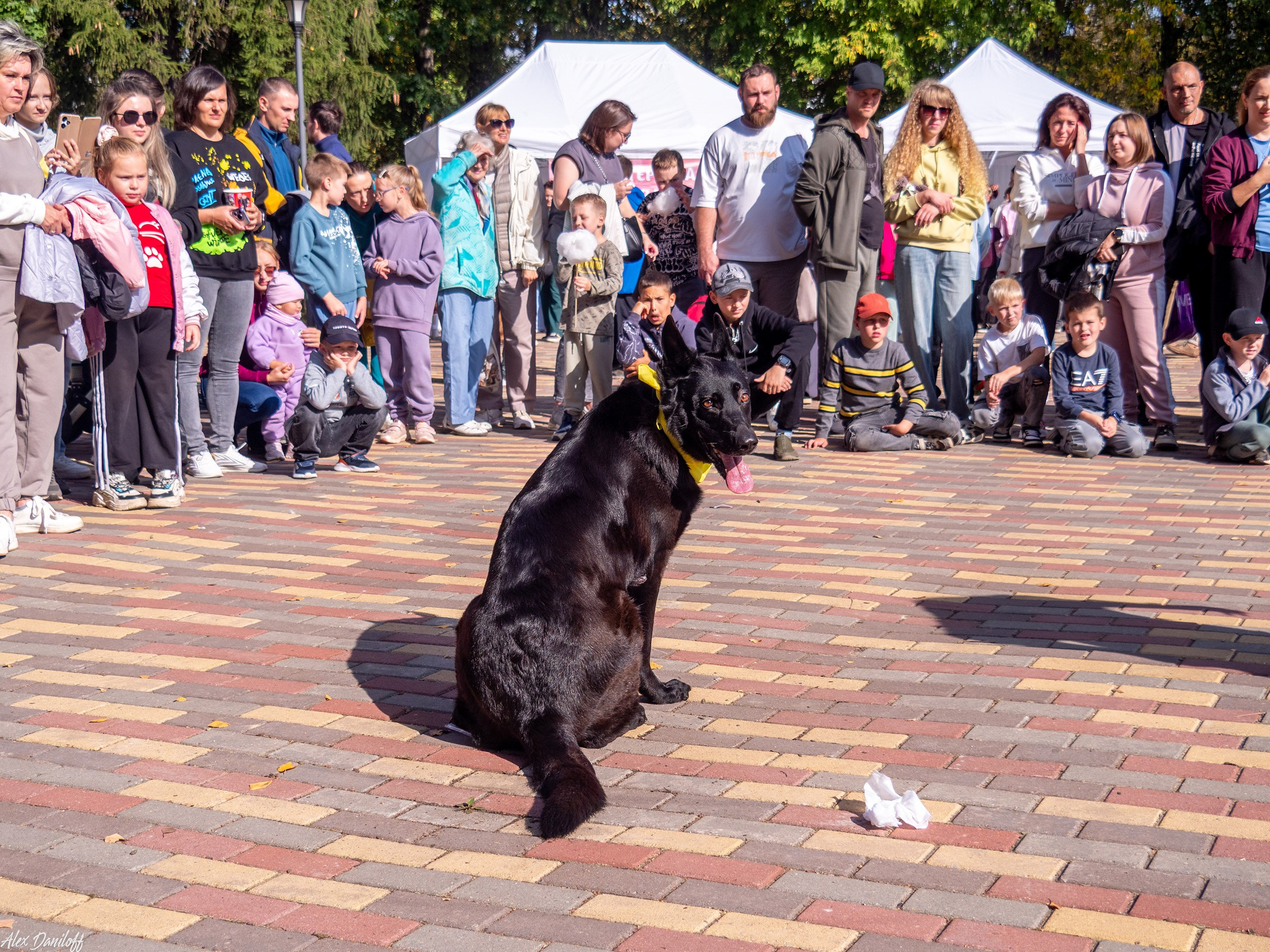 Обнимака 2025. Муром-Инфо. Новости культуры, образования, спорта в городе Муром