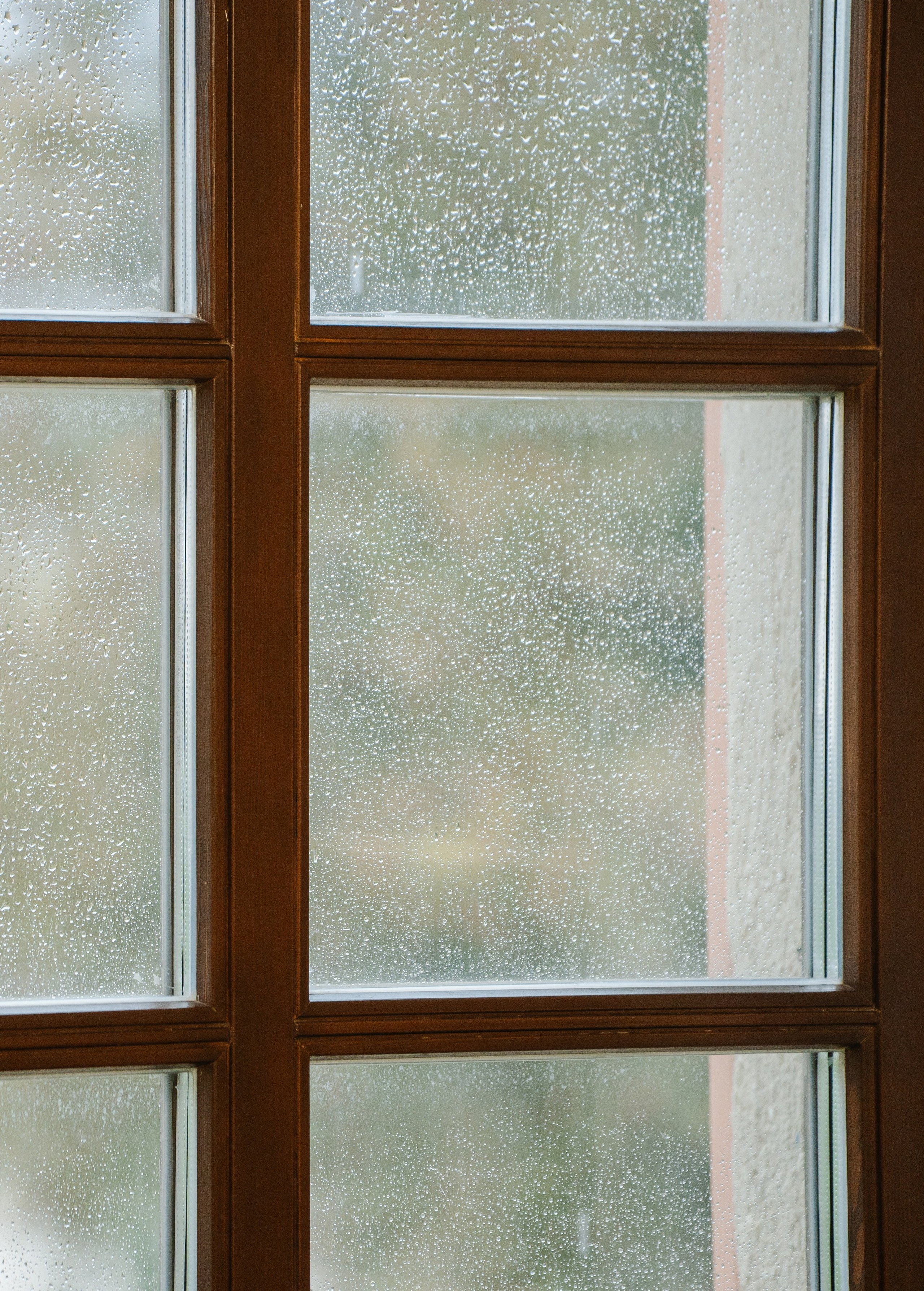 Даня и Юля. Свадебный и семейный фотограф в Анапе Елена Полетаева