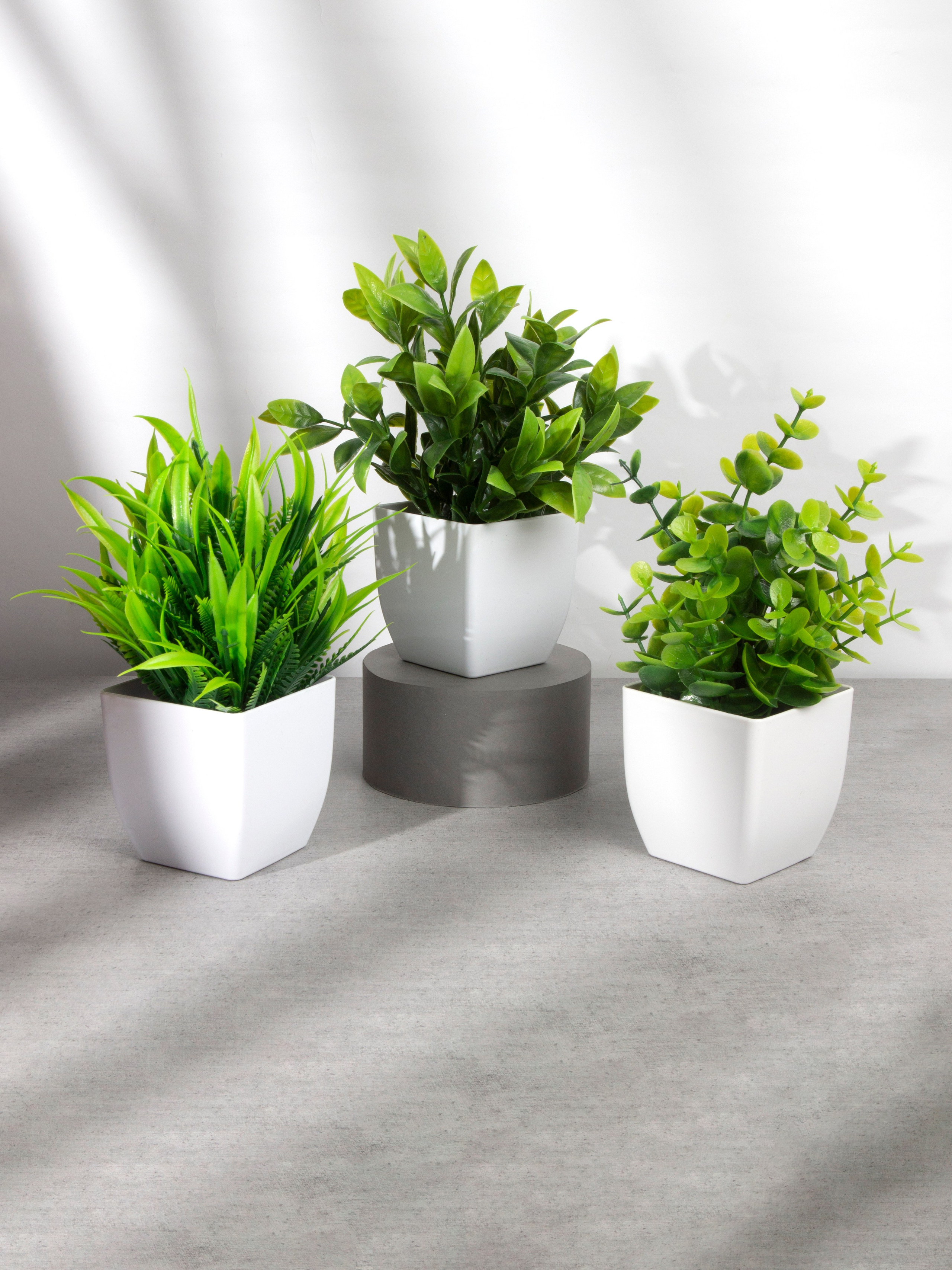 Декор для дома. Фотограф Злата Спицына