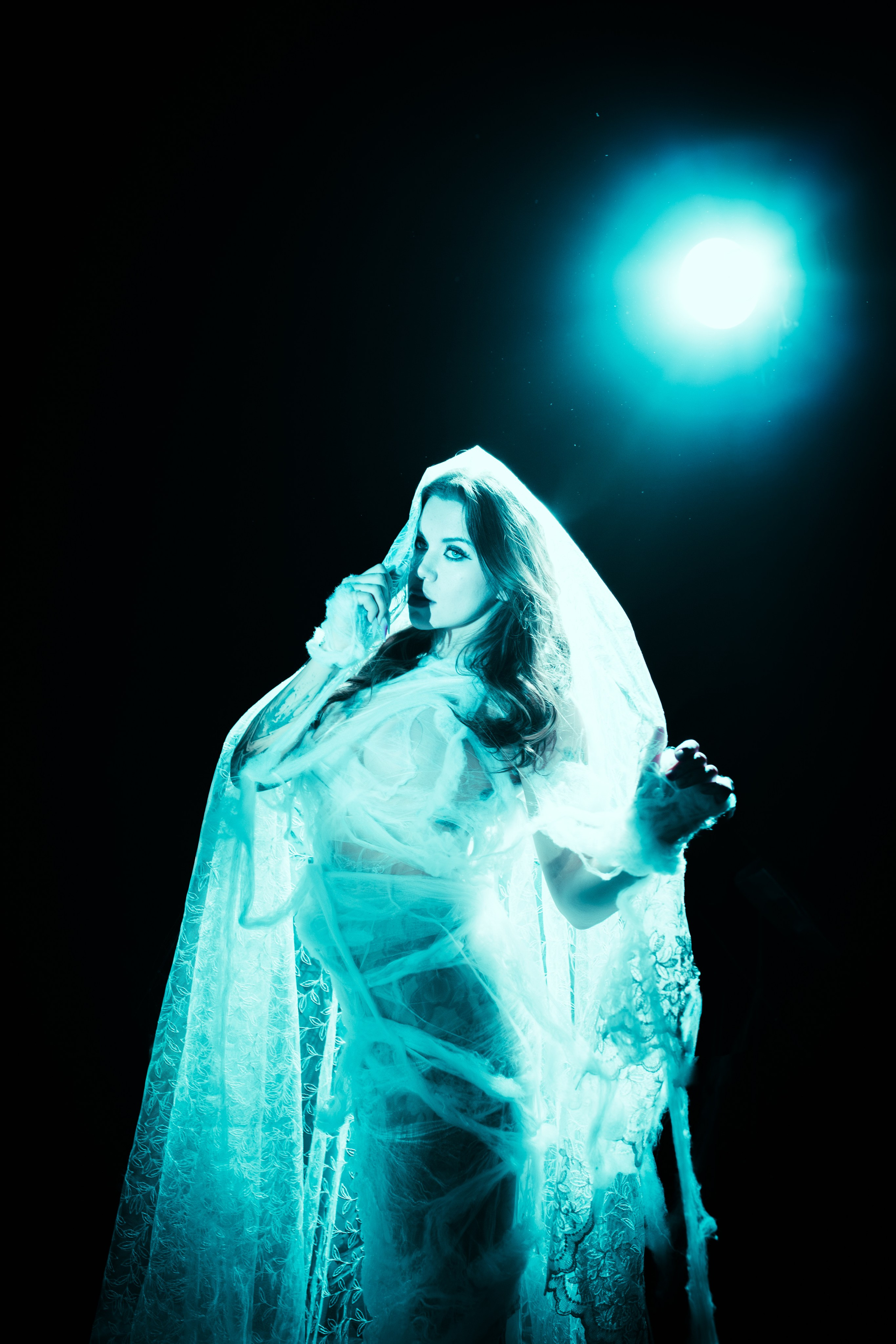 Diibae spider. Фотограф из Санкт-Петербурга Валерия Ленских