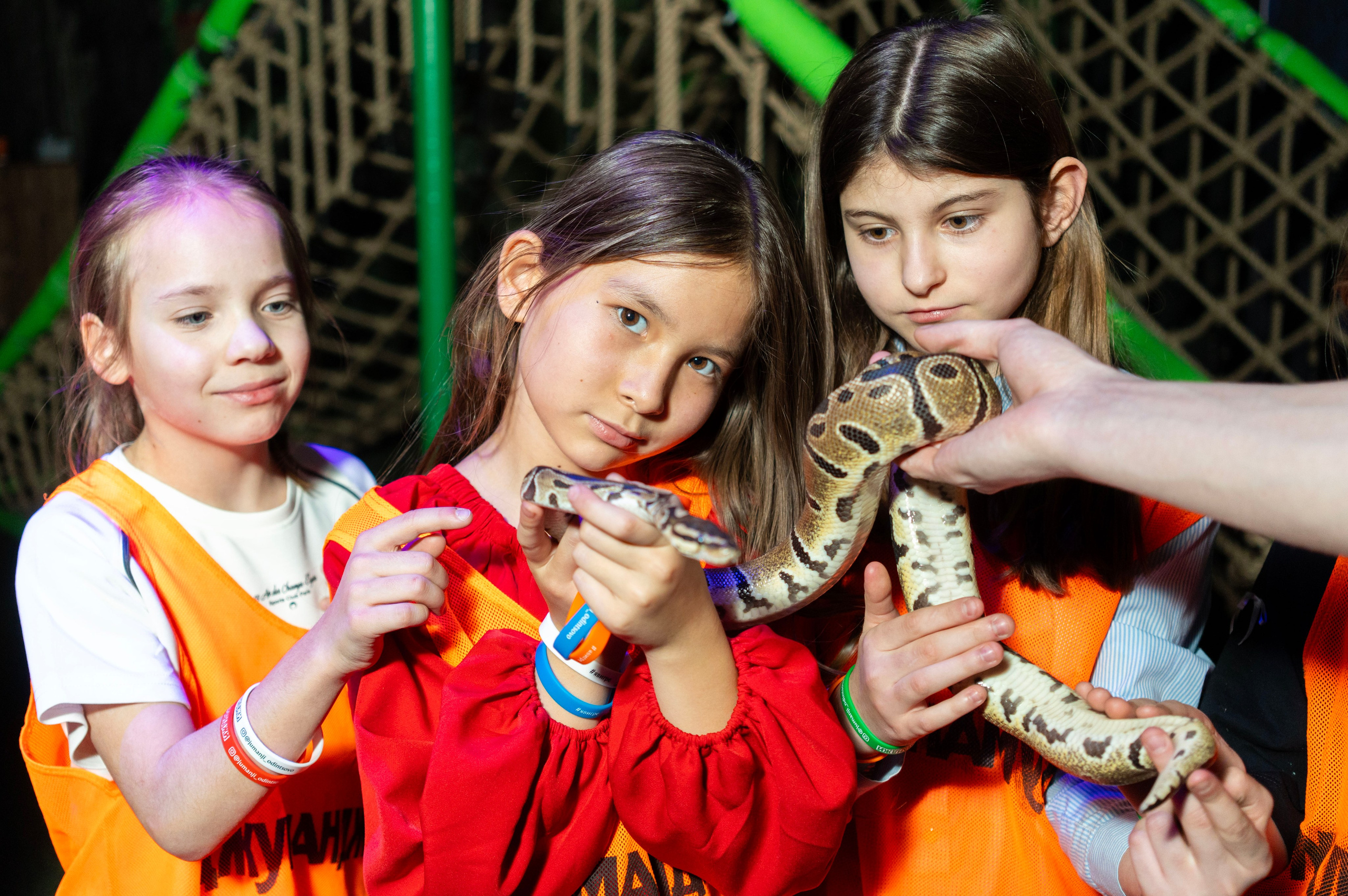 Квесты. Фотограф Юлия Попова