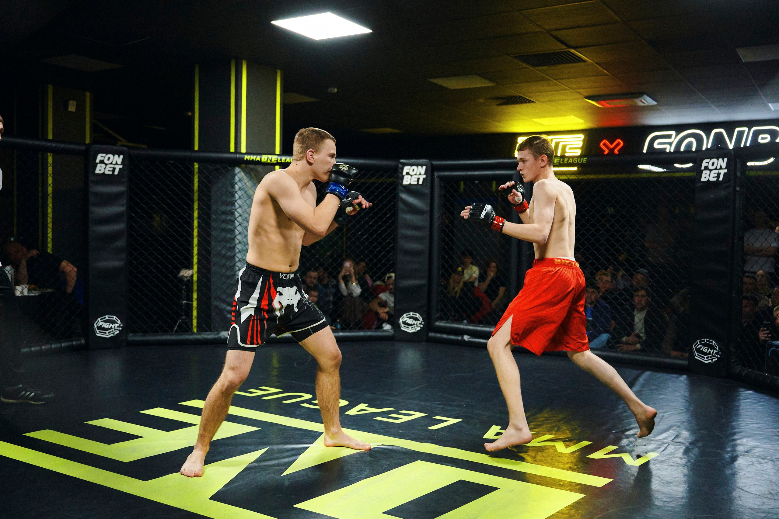 Единоборства. Главная