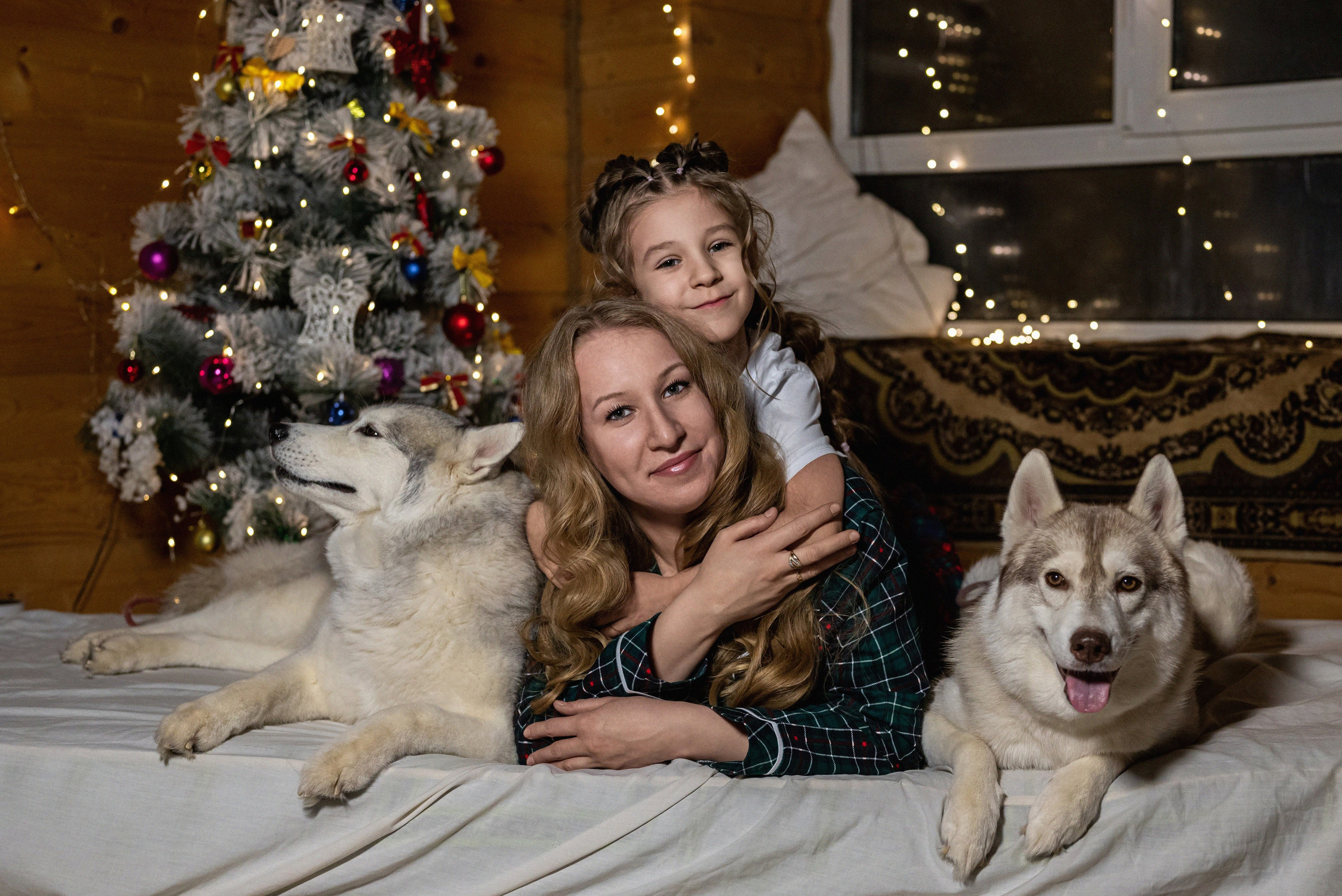 Фотопроект с хаски 2024 г. Фотограф в городе Салават