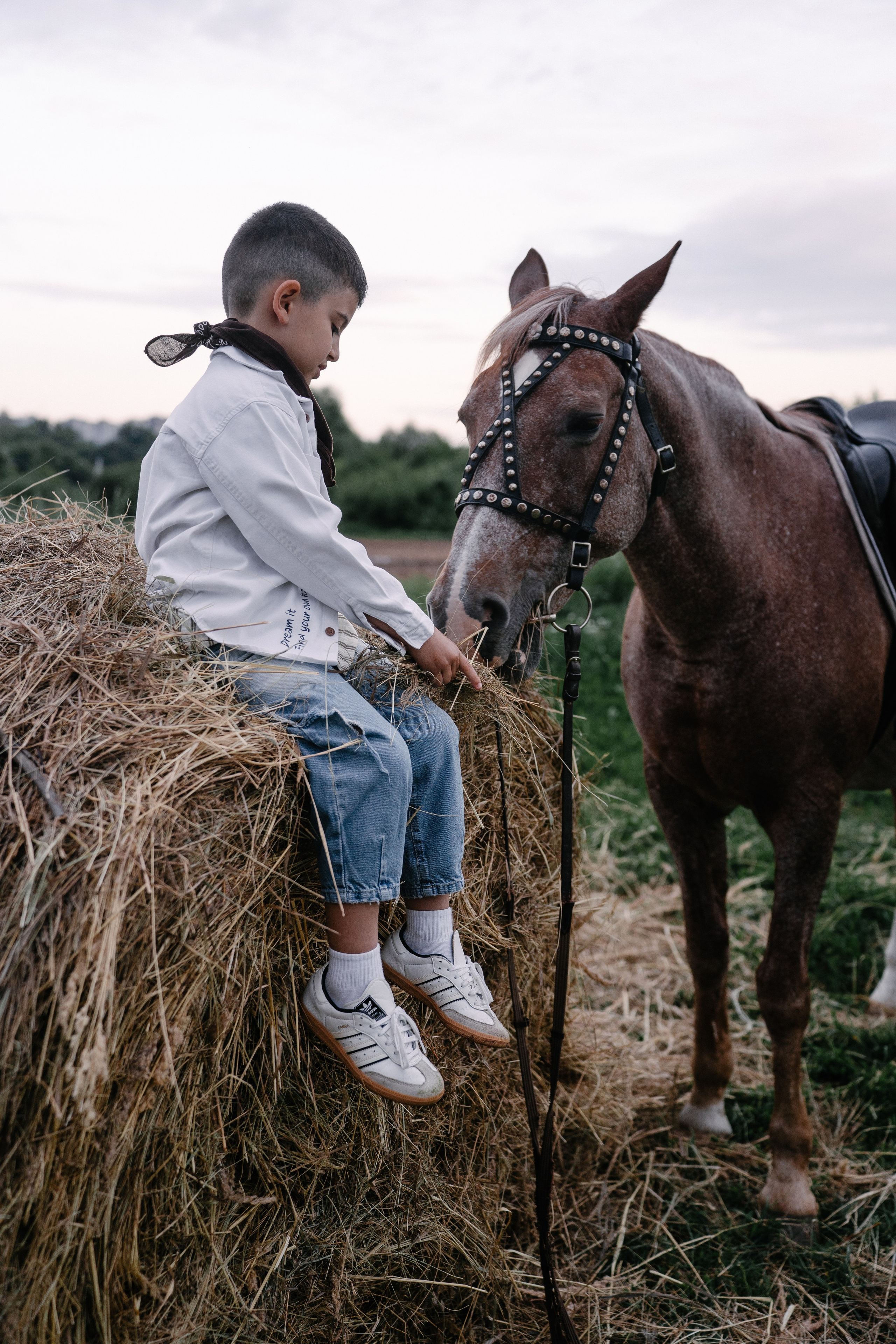 Элиза, Элина, Роберт. Свадебный и семейный фотограф в Воронеже Анастасия Бойко