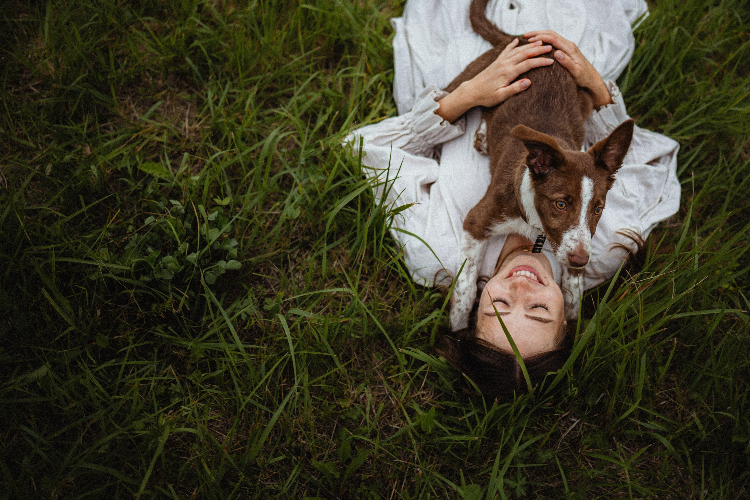 Выездной дог-тренинг от школы «Шерсть имею»