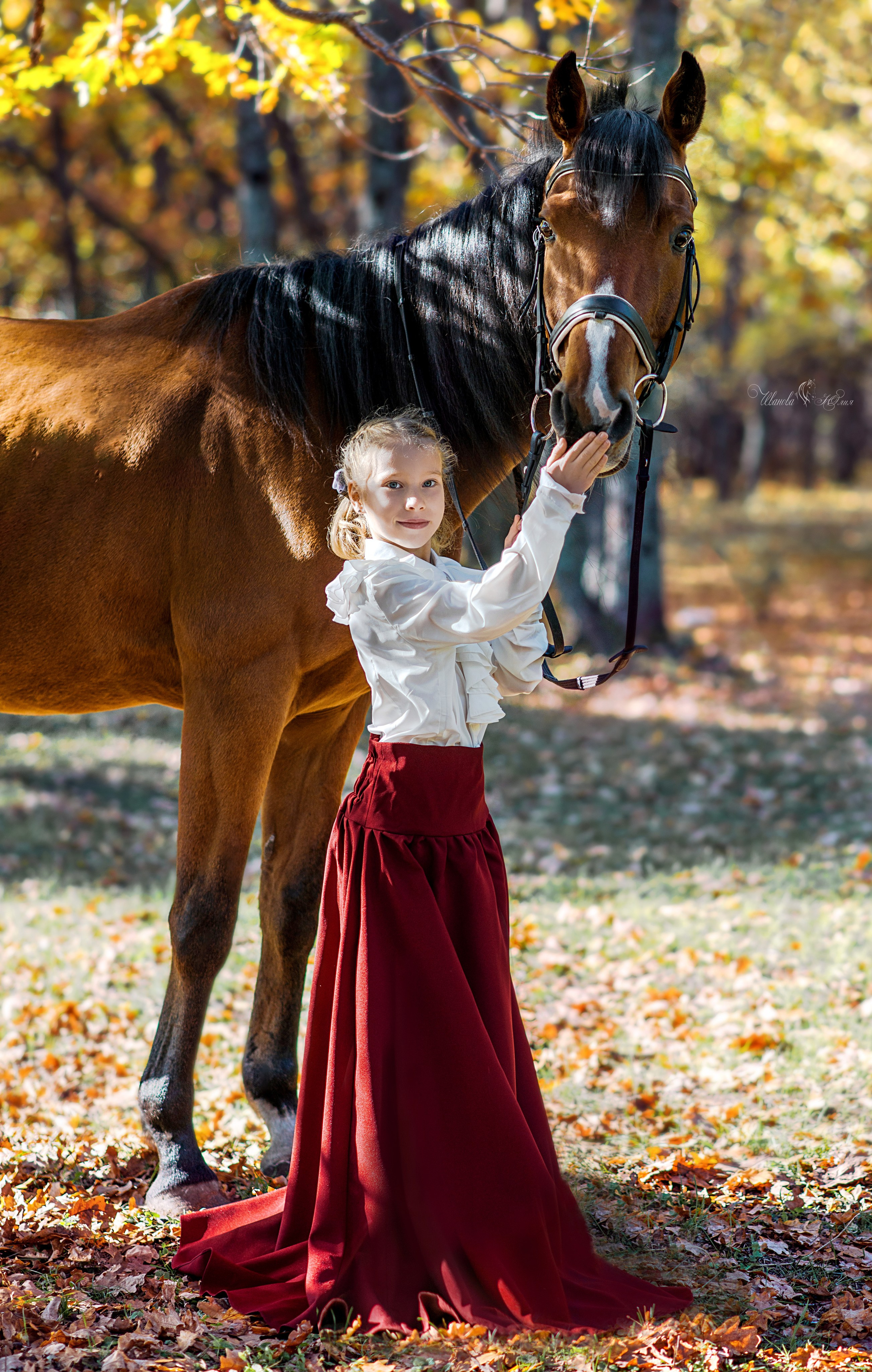 Семейная съемочка с Ватиканом. Конный фотограф в Саратове Юлия Иванова
